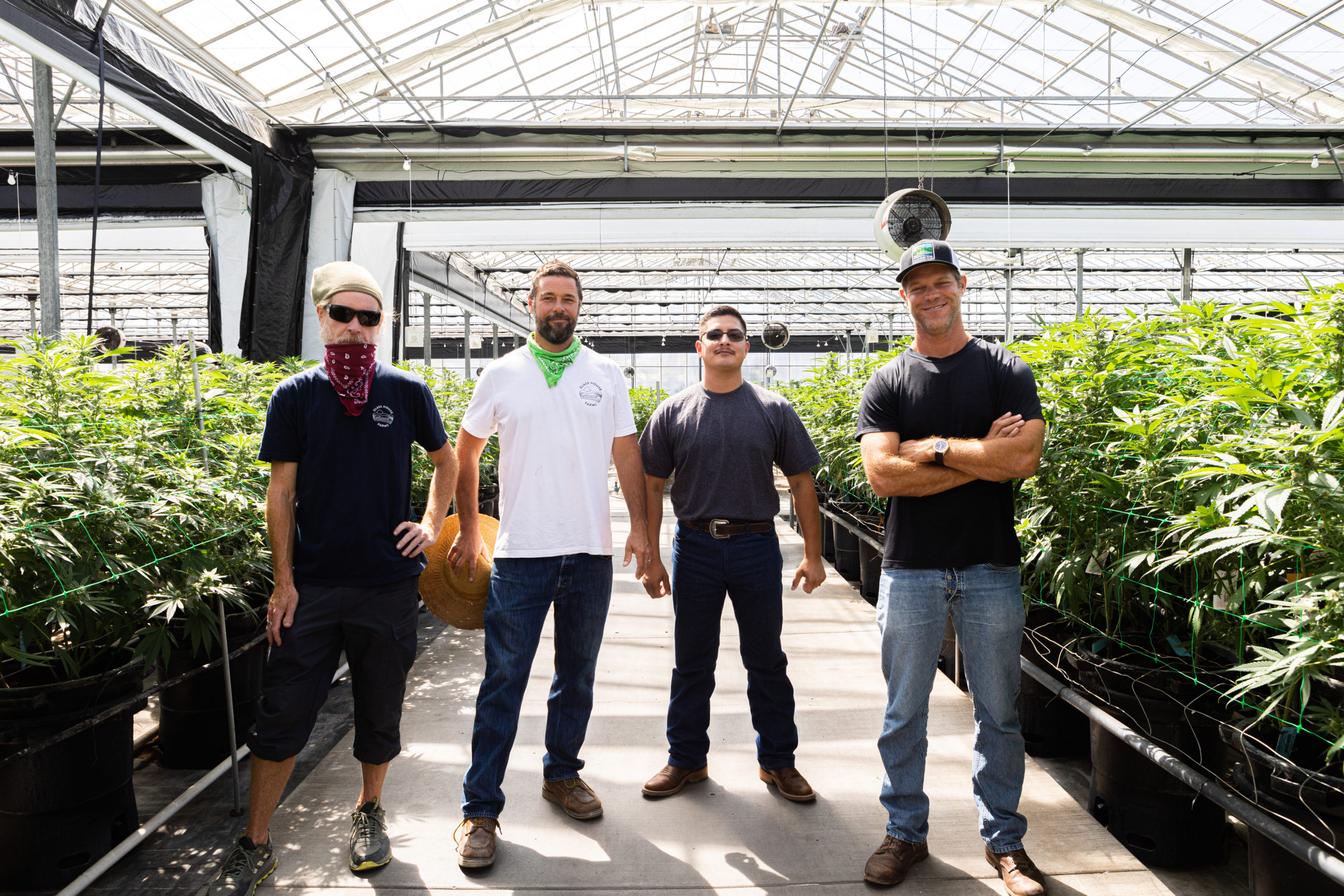 Glass House Farms The Central Coast's Heritage Lives On In Our Cannabis