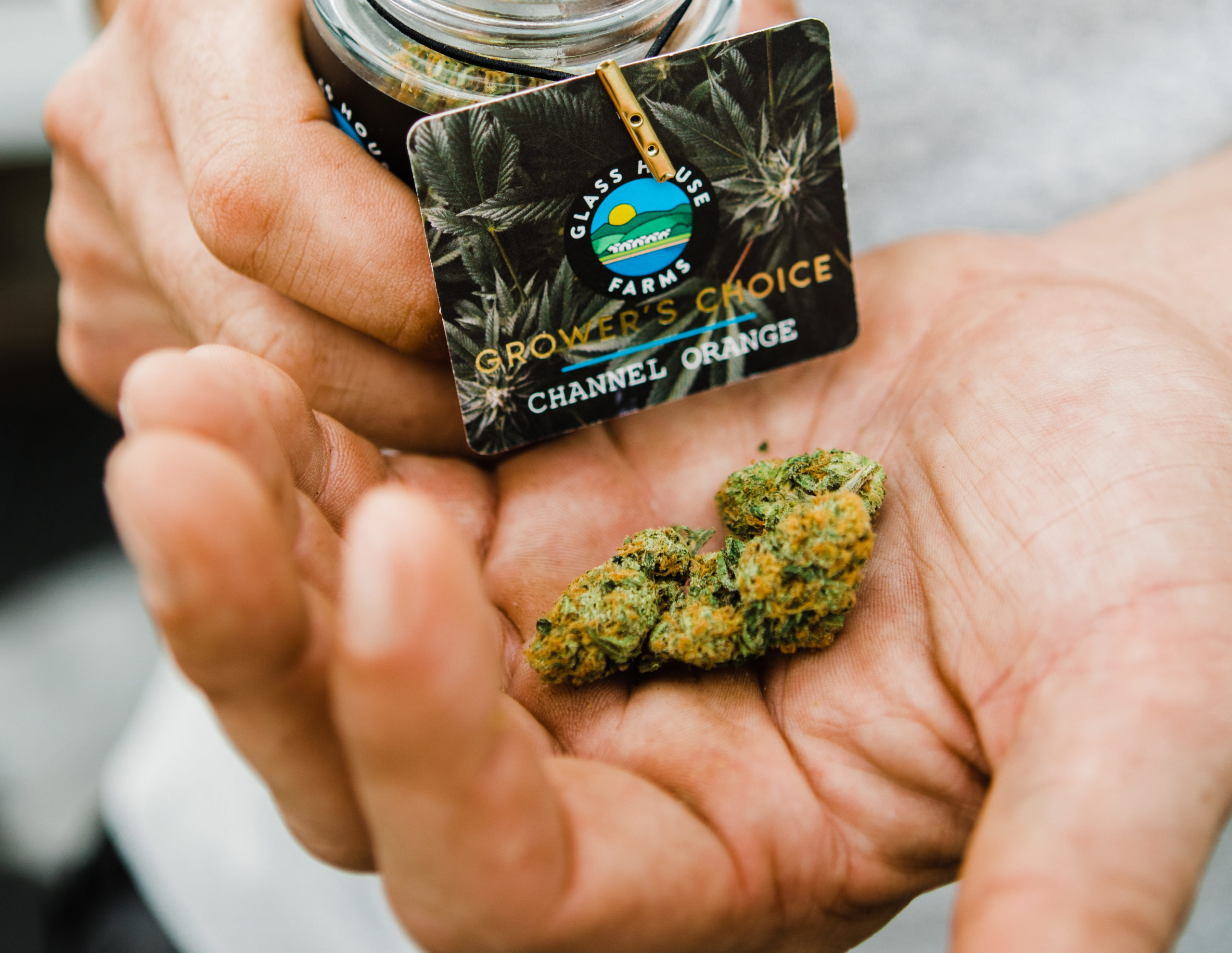 THE HIGH-LEVEL POETRY OF STRAIN NAMES