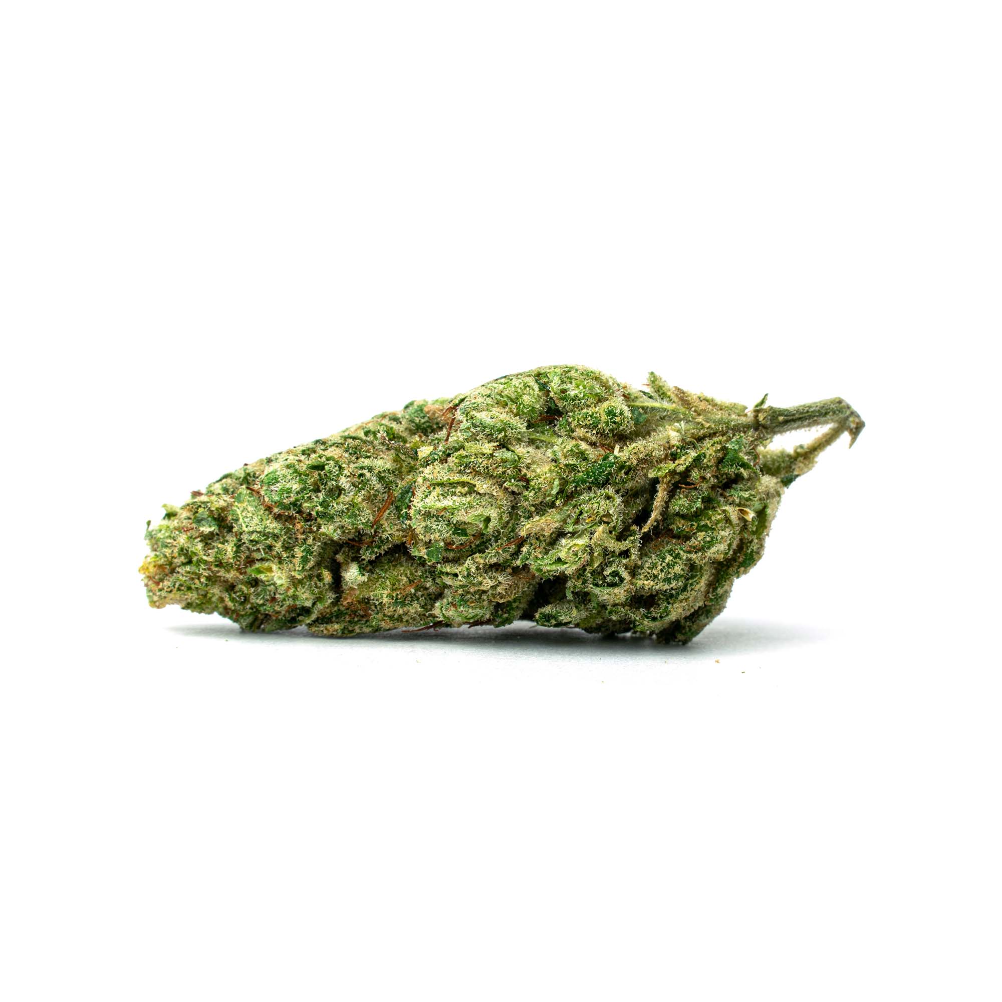 GG4_Full-Res gg4 cannabis bud