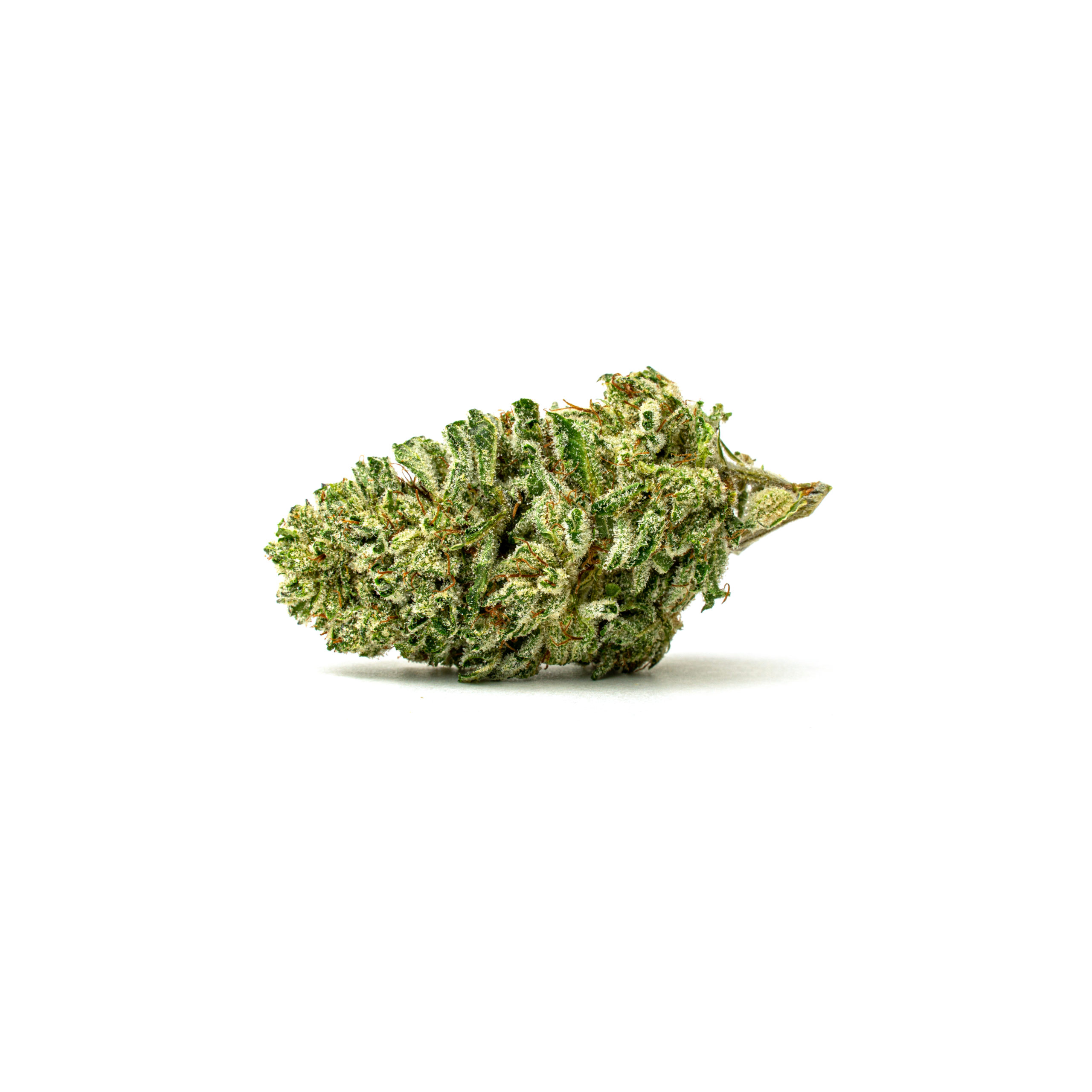 Hellfire-Full-Res Hellfire Cannabis bud