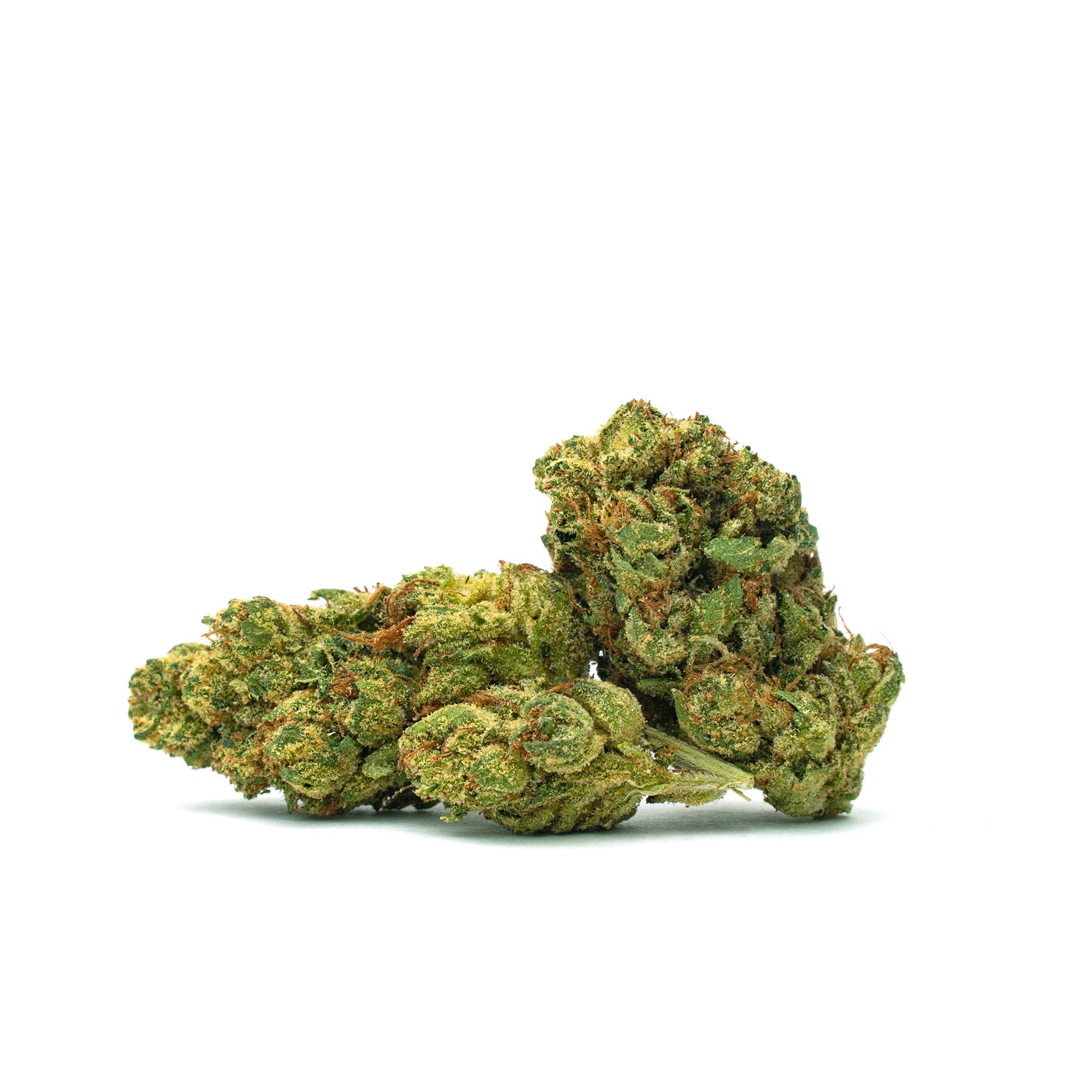 Platinum-OG_Full-Res platinum og flower