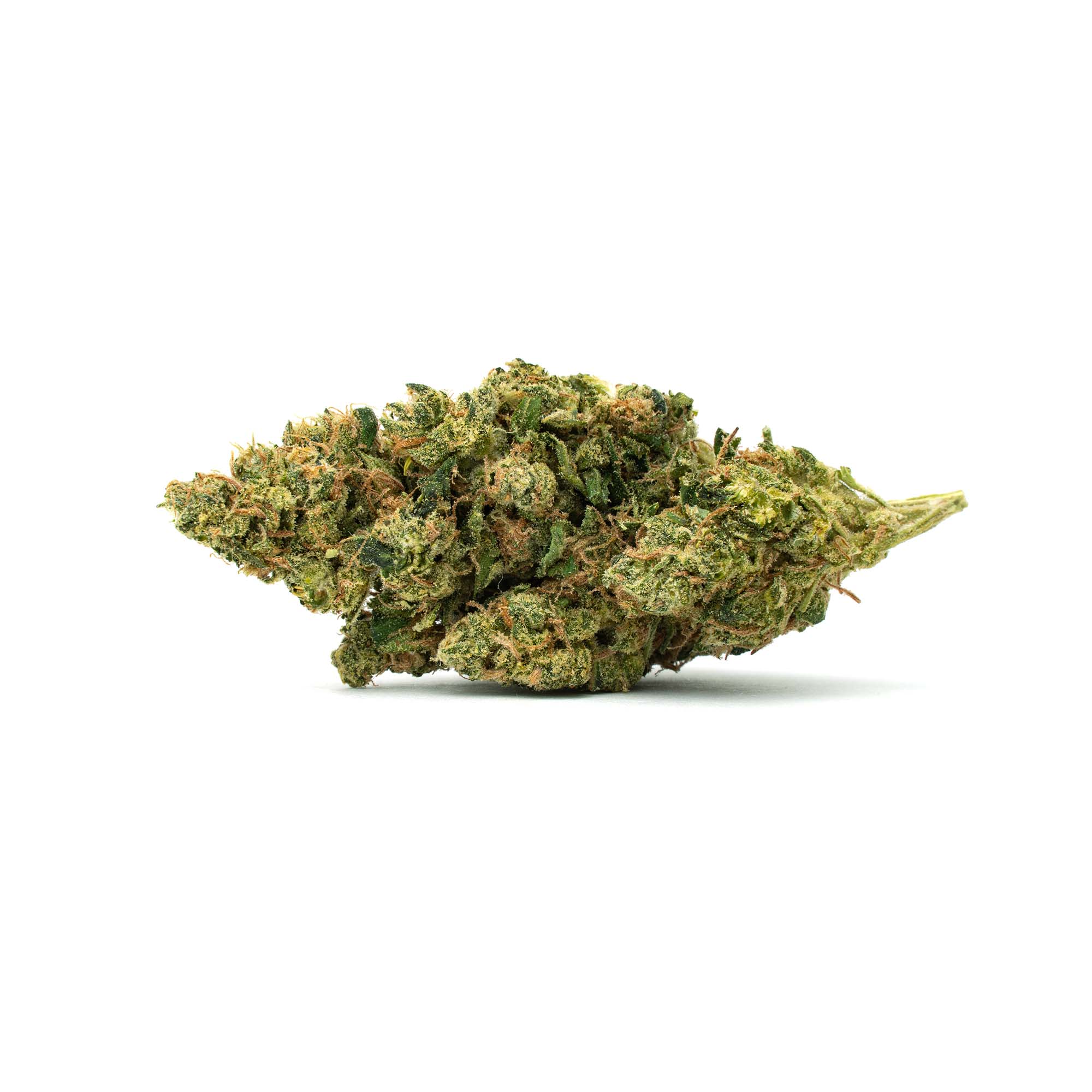 Sour-Diesel_Full-Res sour diesel cannabis bud