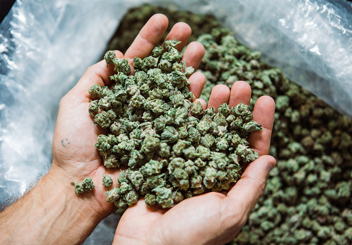 Strains Image Gridv2