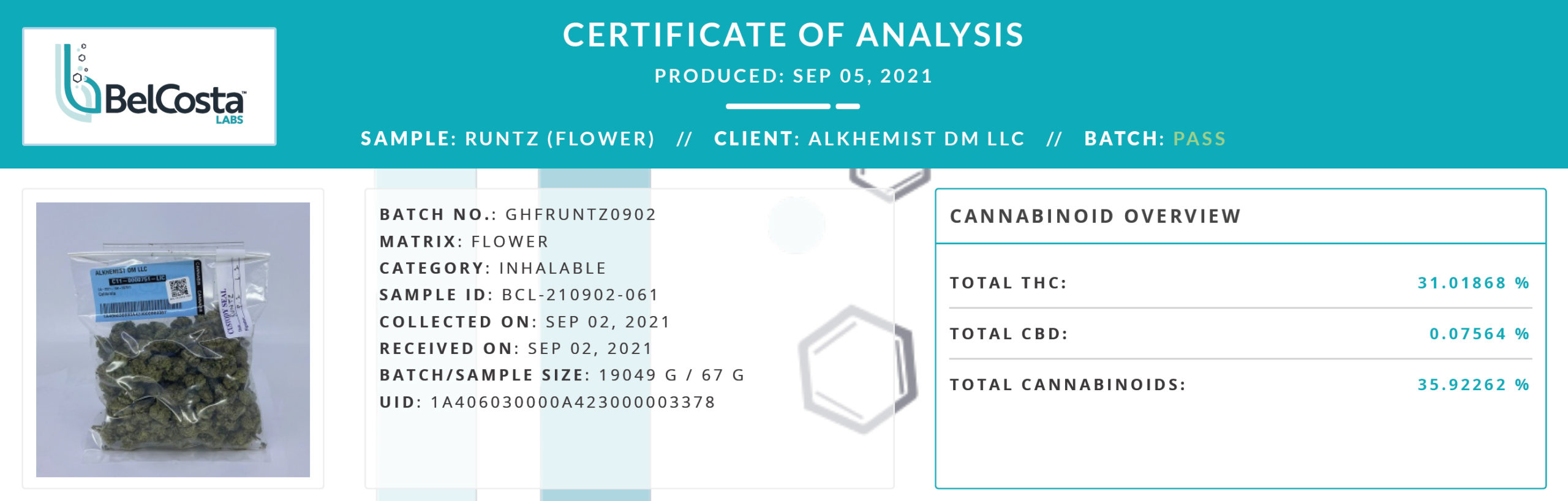 Cannabis COA_2