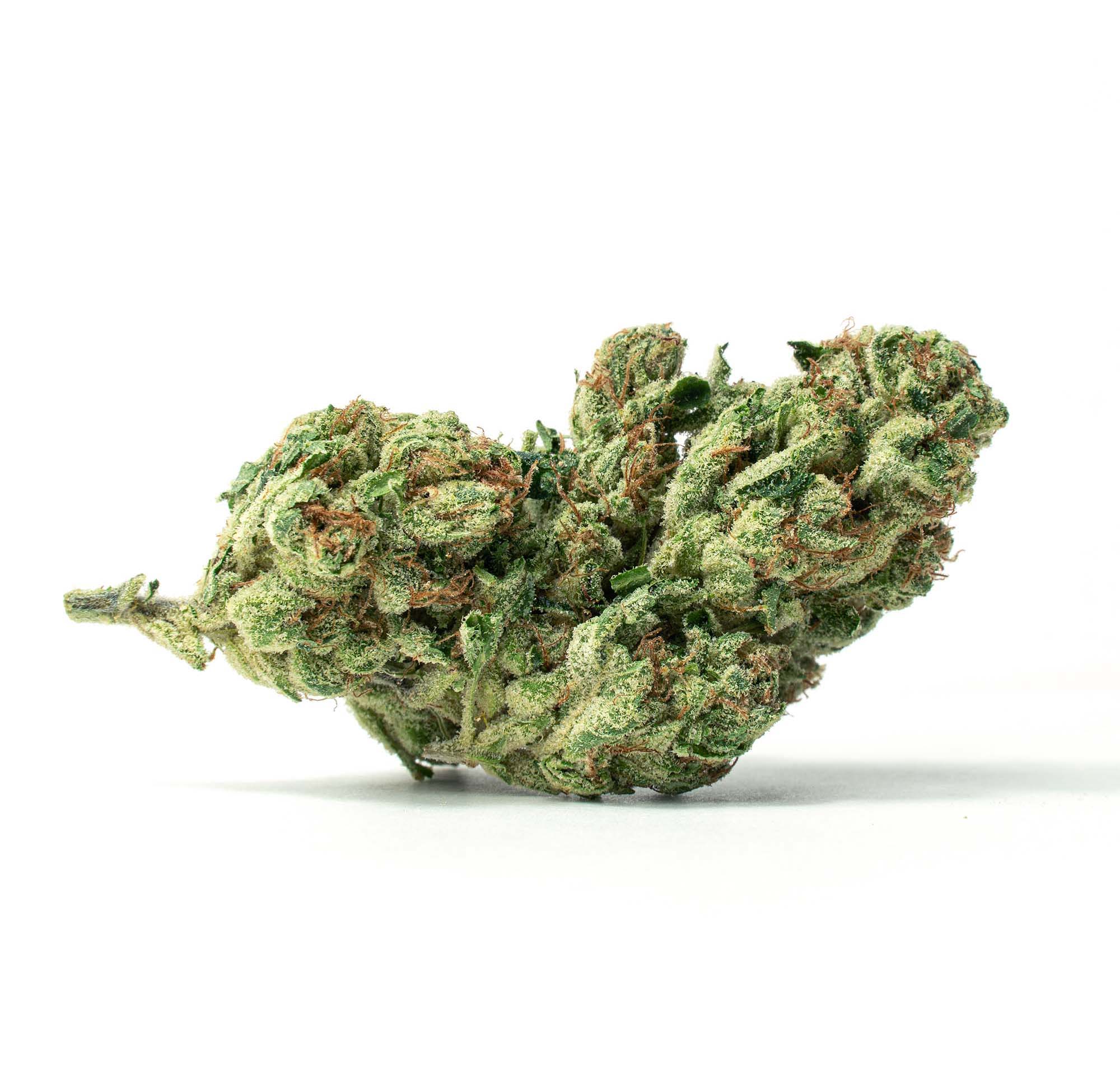 Fatso_Full-Res-1 fatso cannabis