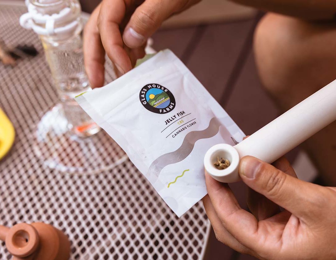 CBD-Rich Strain Jelly Fish