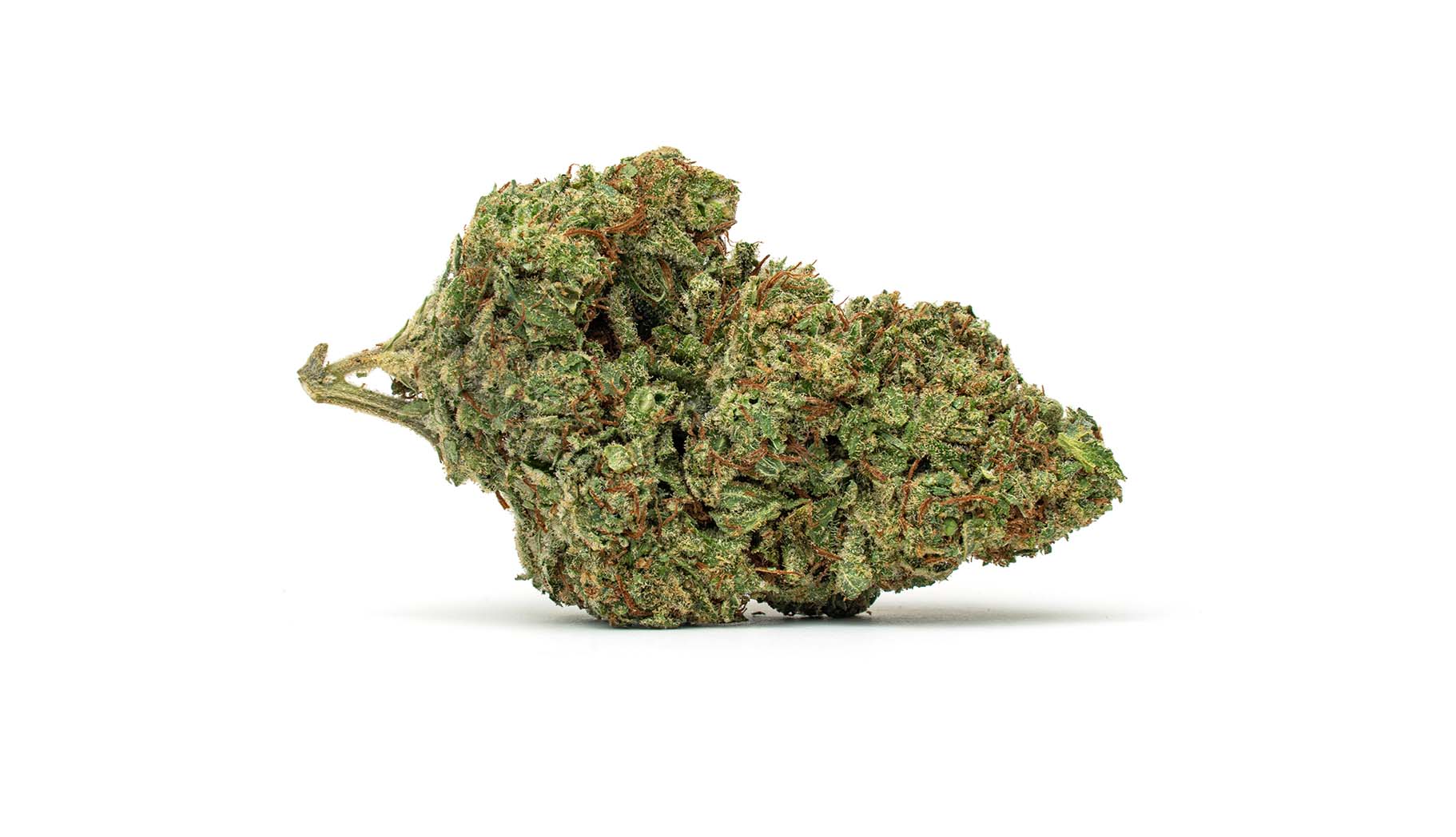 1-Liliac-Diesel_Full-Res Liliac-Diesel macro