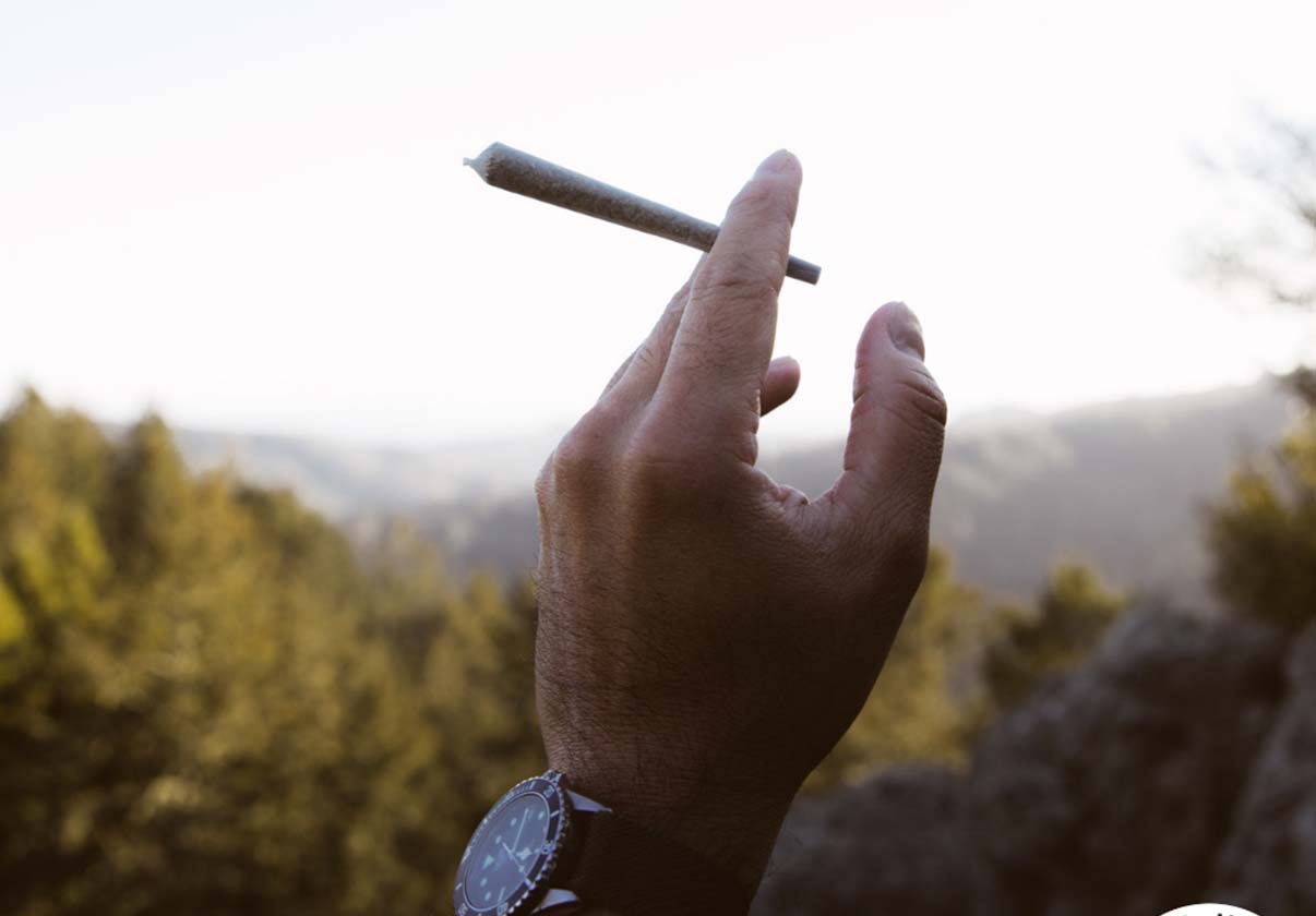 Strains - Lilac Diesel