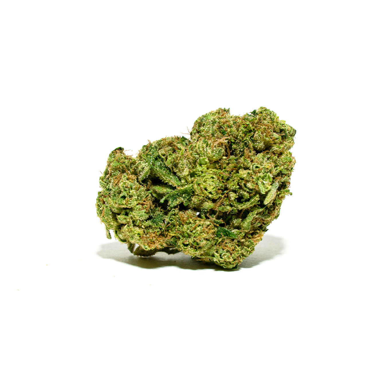 Kosher-Kush_FLOWER_1x1 Kosher-Kush_