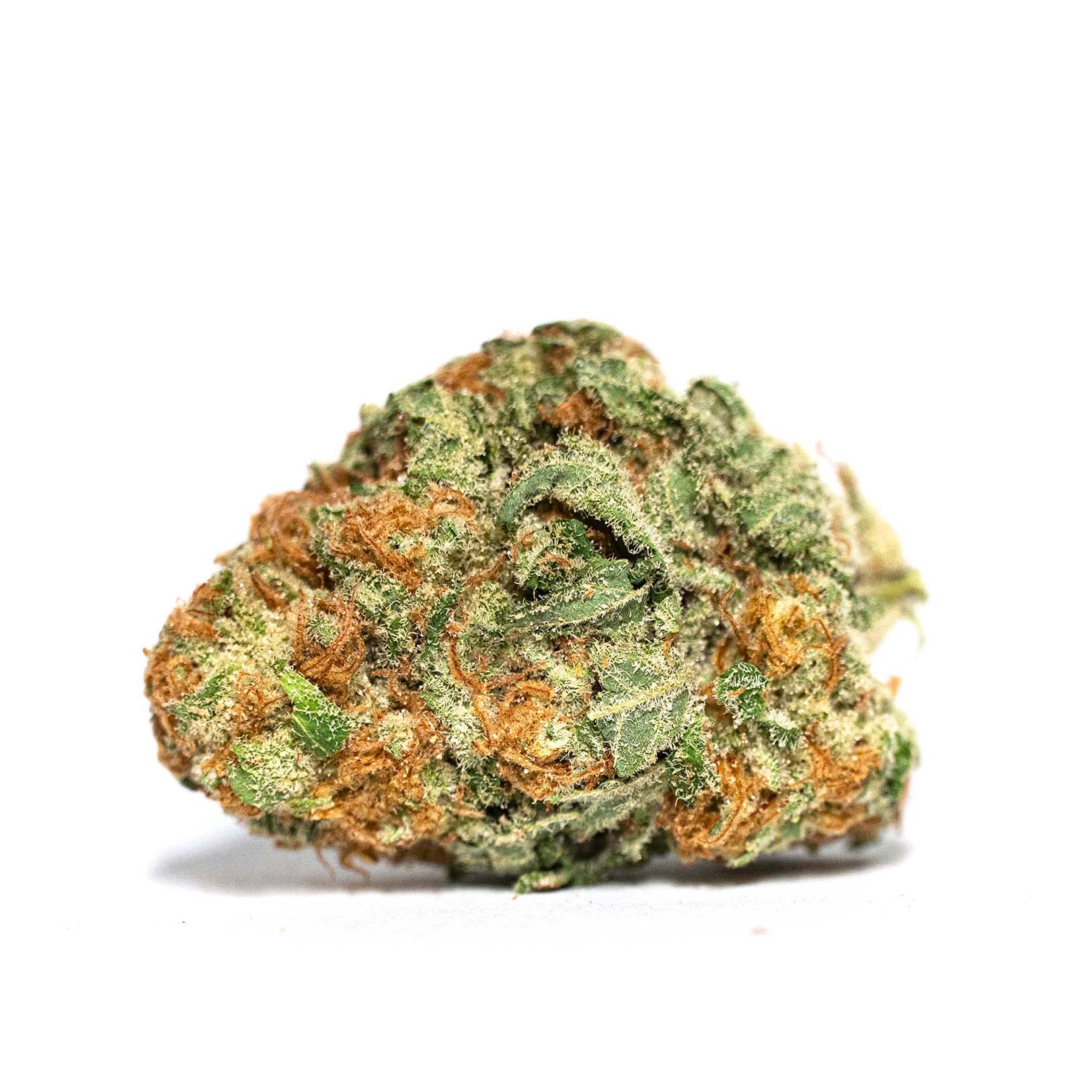 Papaya Punch – Full Res flo white quality runt