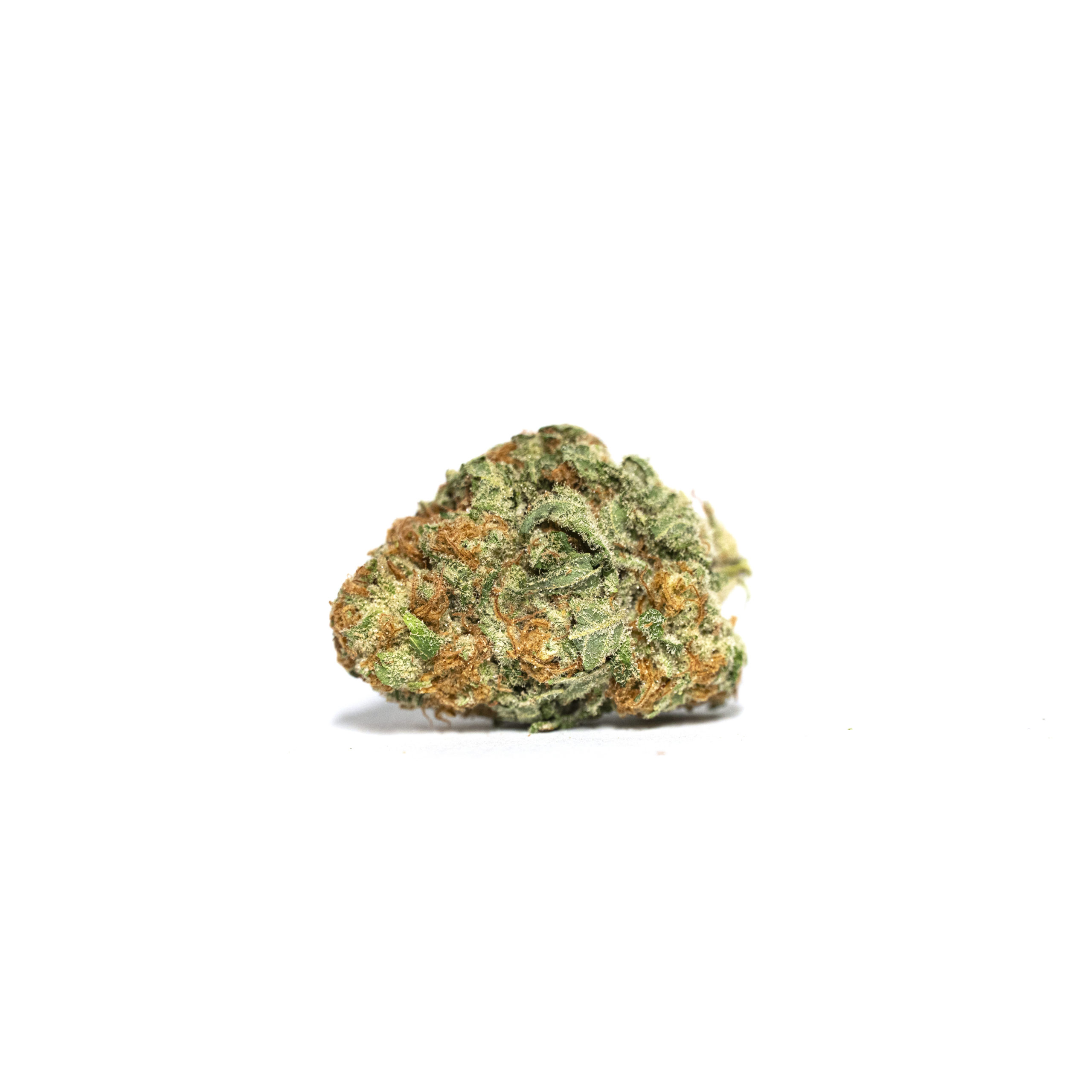 1-Papaya Punch – Full Res Papaya Punch