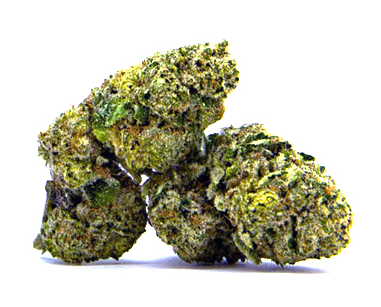 Prince_INDICA_DOM_3.5g_JAR Prince_INDICA_DOM