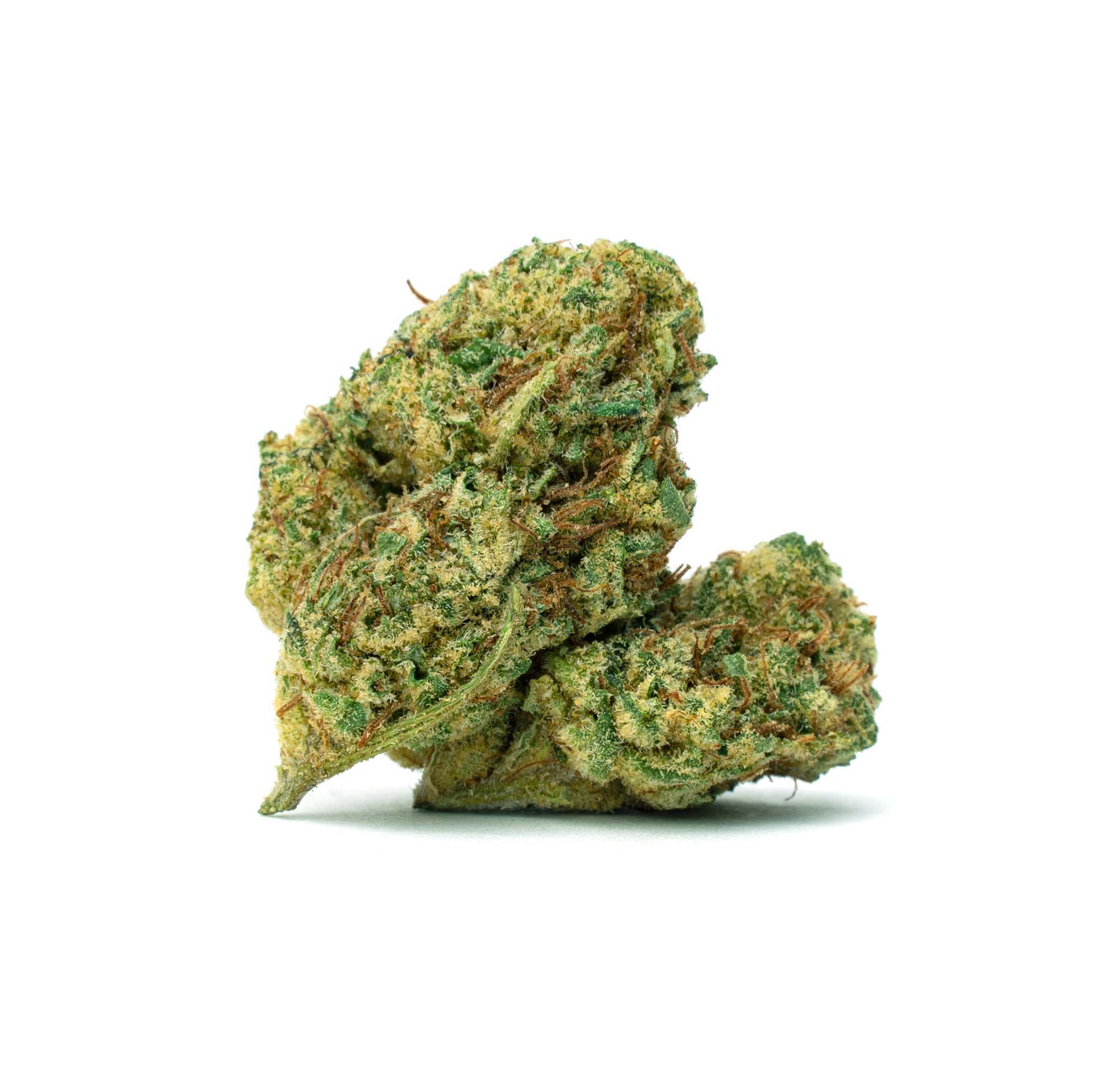 triple chocolate cannabis