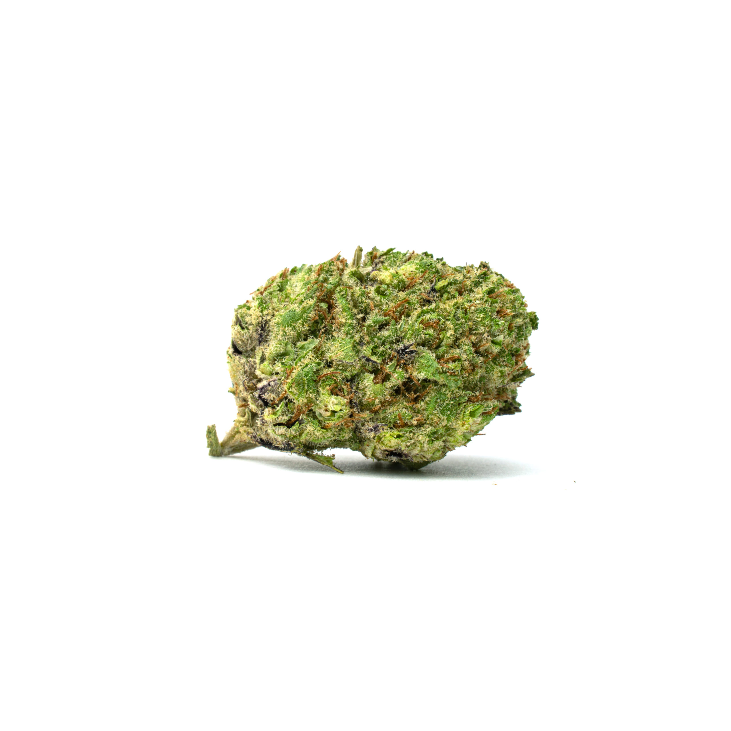 1-Flo-White – Full Res Flo-White