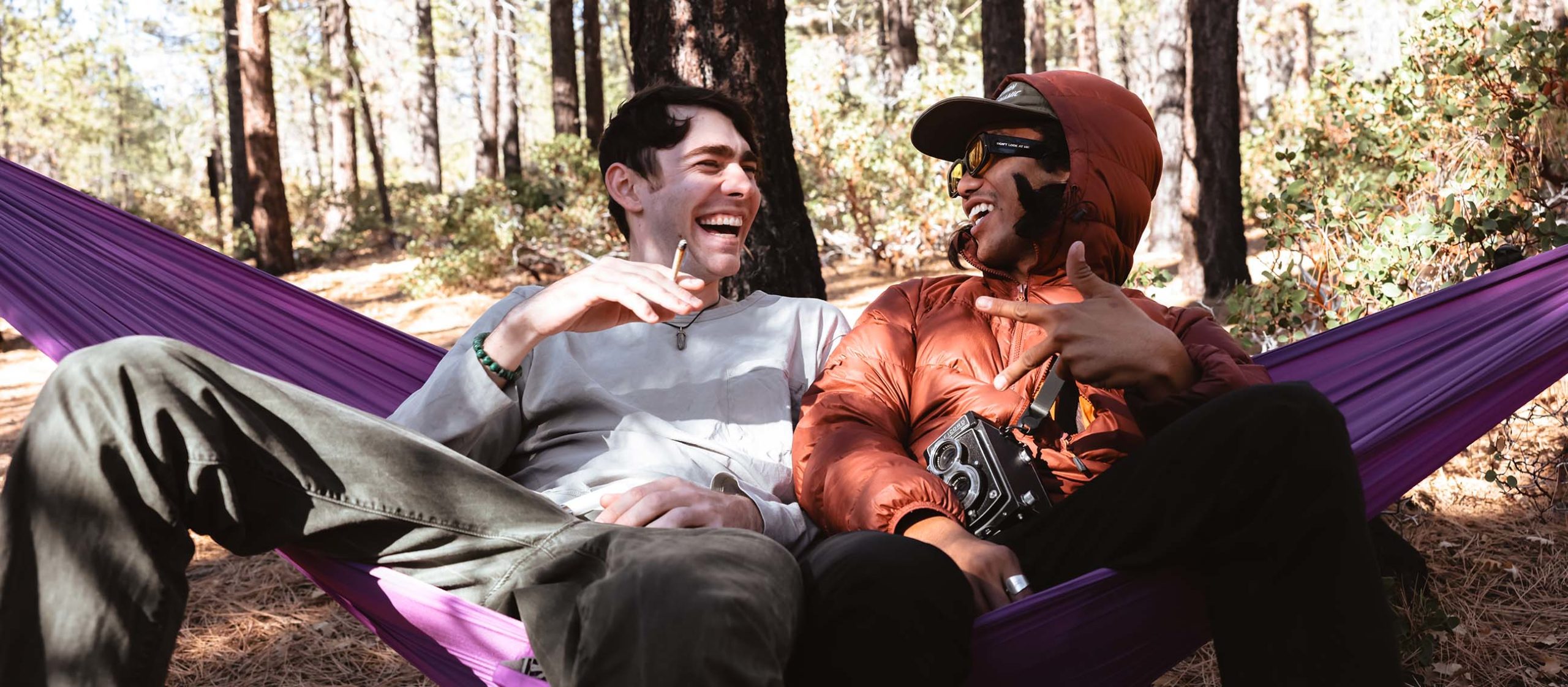 GLASS HOUSE FARM LF 5 (1 of 1)