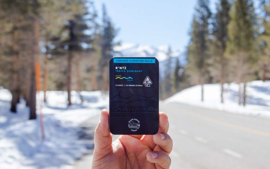 Runtz is Getting a New Name and We Want to Tell You Why