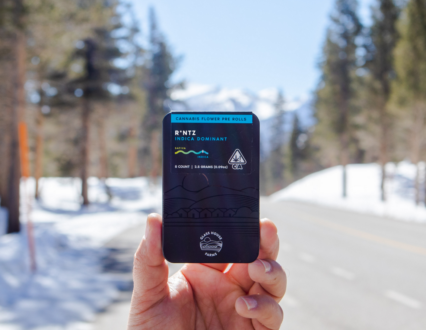 Runtz is Getting a New Name and We Want to Tell You Why