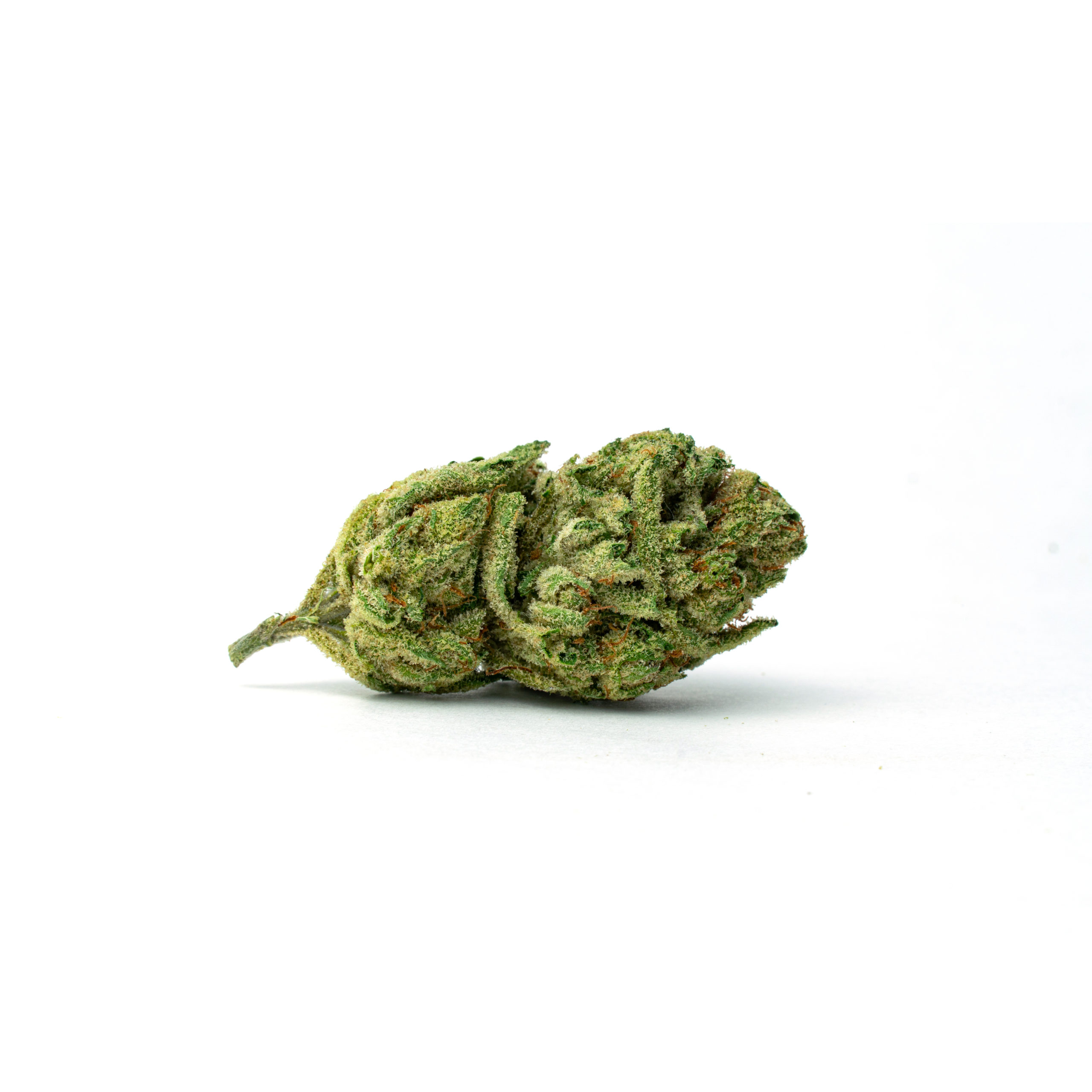1-SSH_Full-Res SSH cannabis