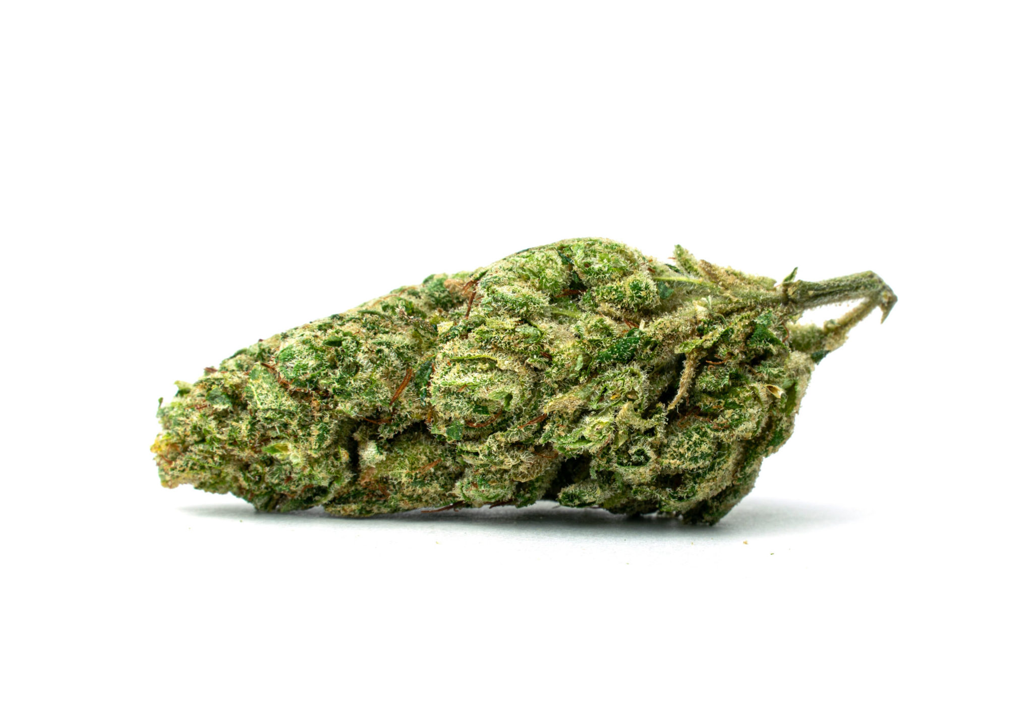 GG4