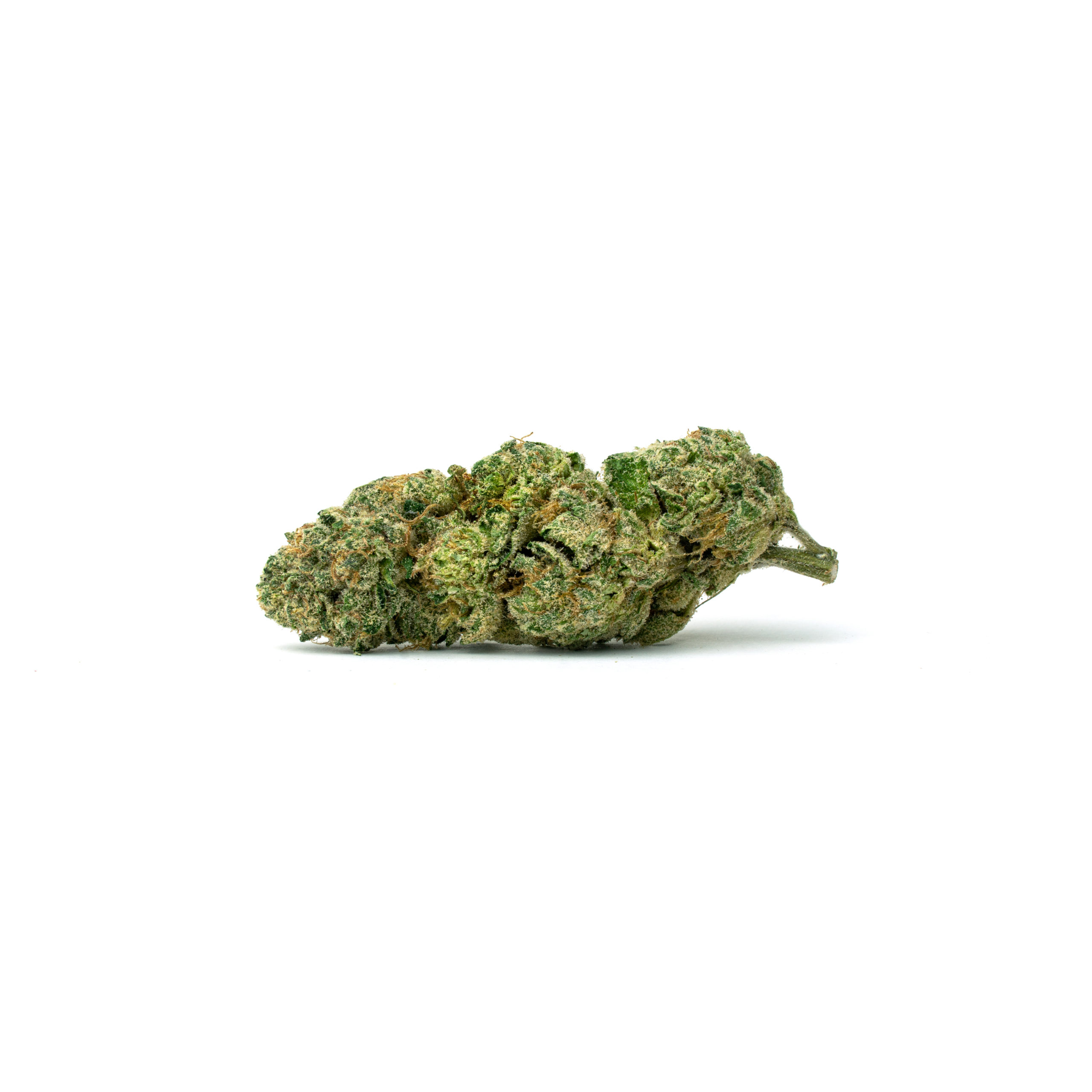 Jealousy F3 – Full Res Jealousy F3