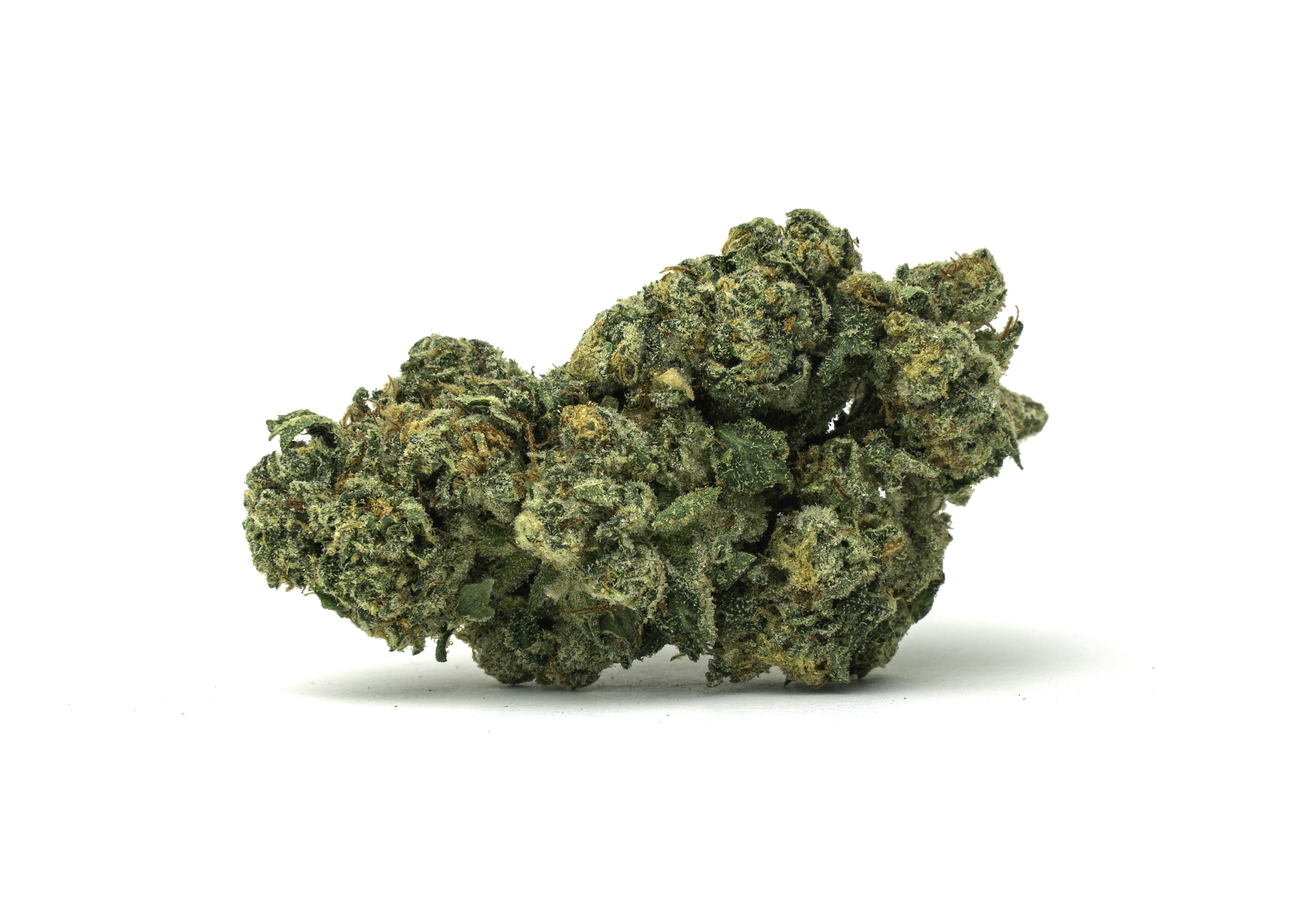 Kush Mintz x Zkittles