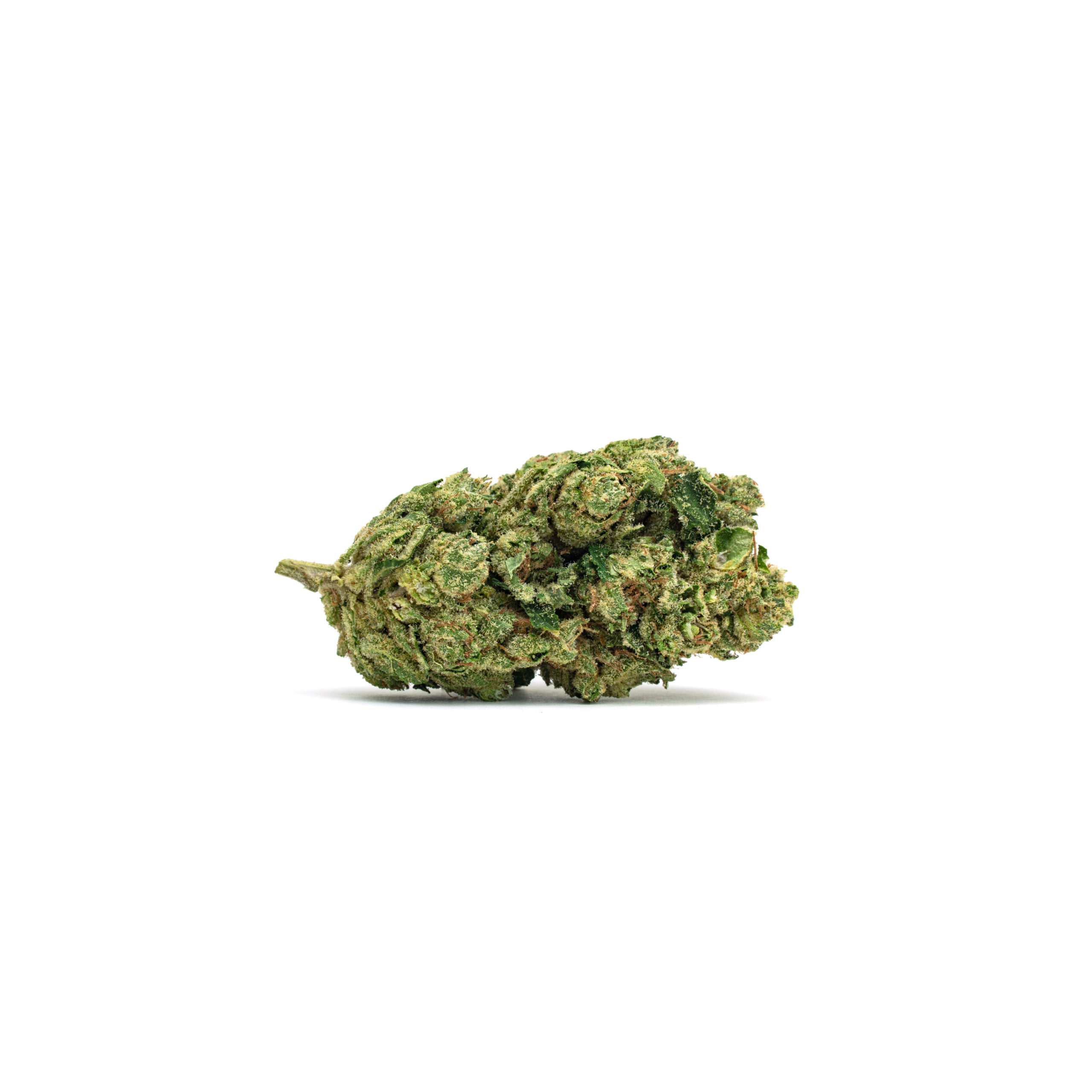 Chemdawg Kush – Full Res Chemdawg Kush