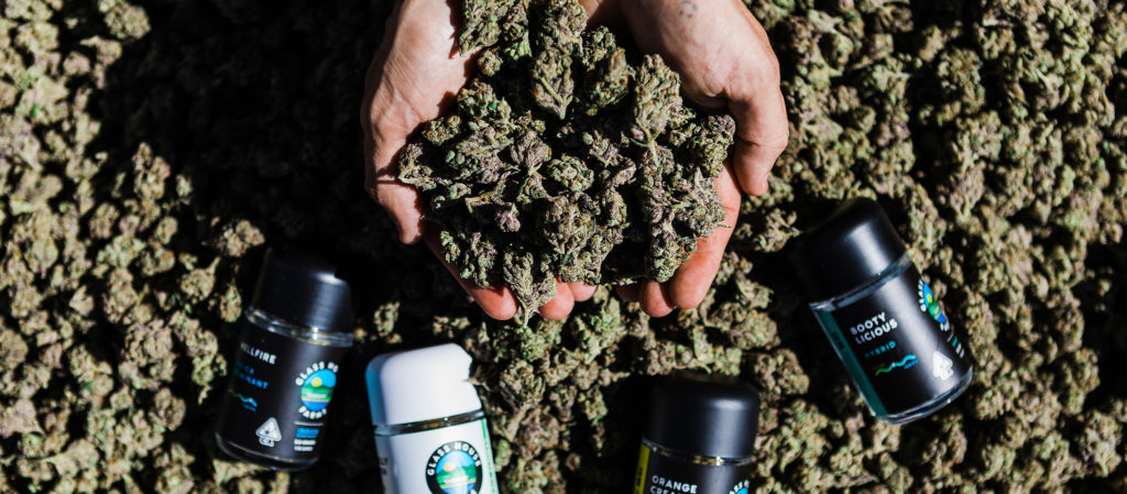 Growing Green for Earth Day 2022