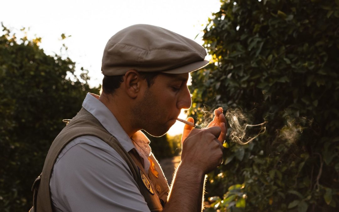 Figuring Out Your Cannabis Tolerance and Ideal Dosage