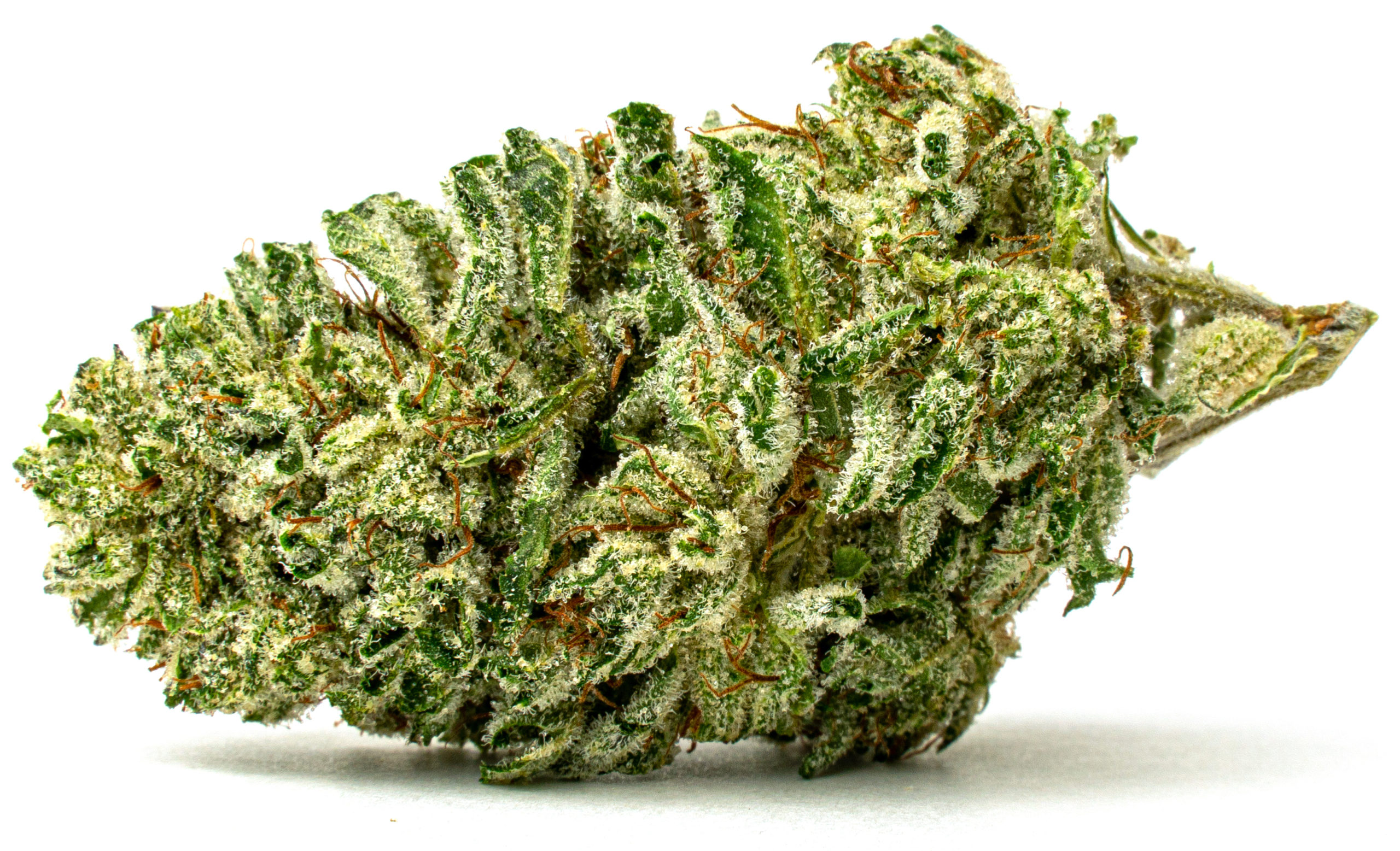 Astronaut OG-Full-Res