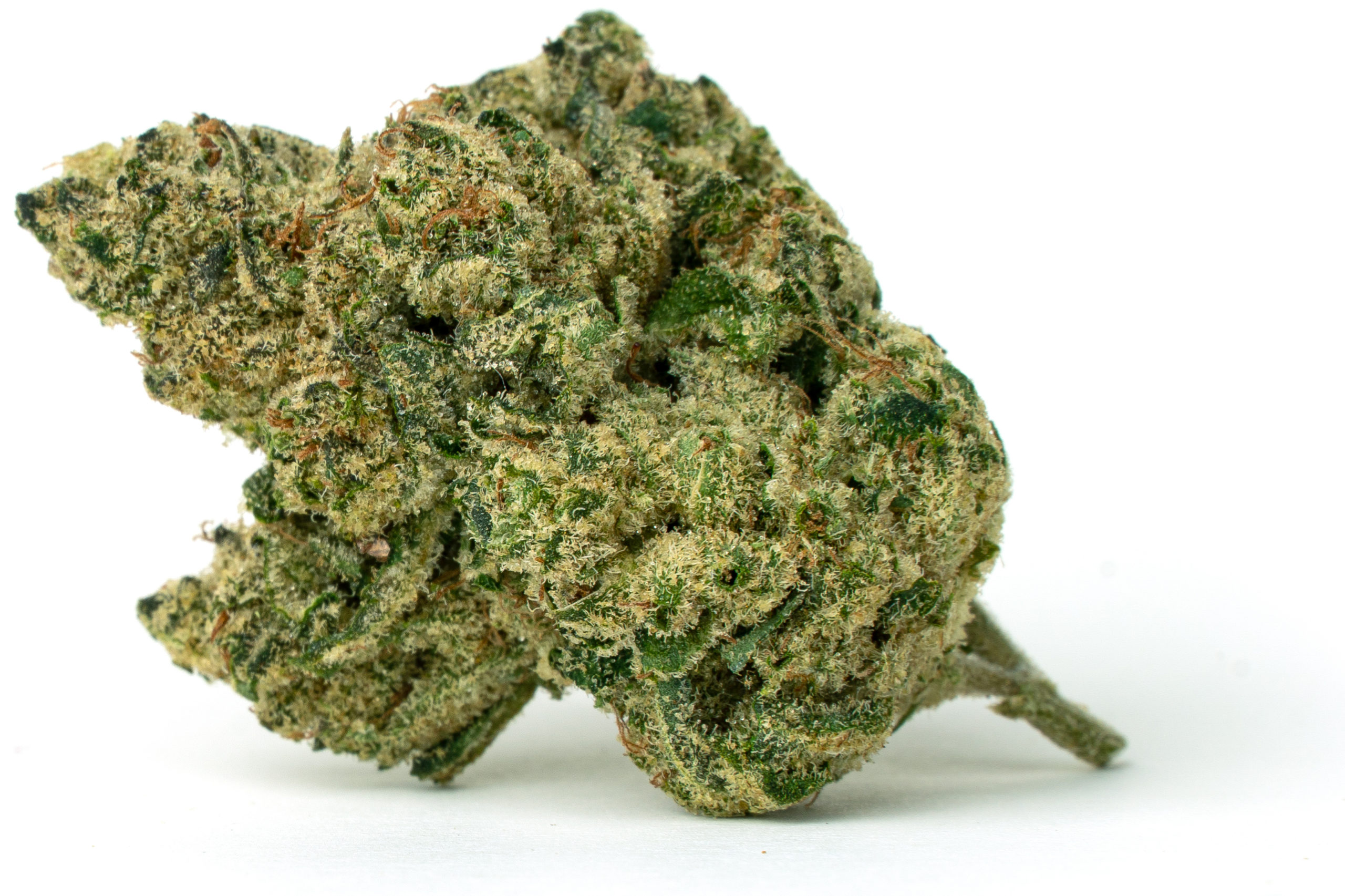 Starberry Cough - Full Res