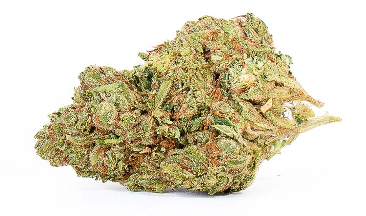 Photo of Channel Orange Bud Glass House Farms