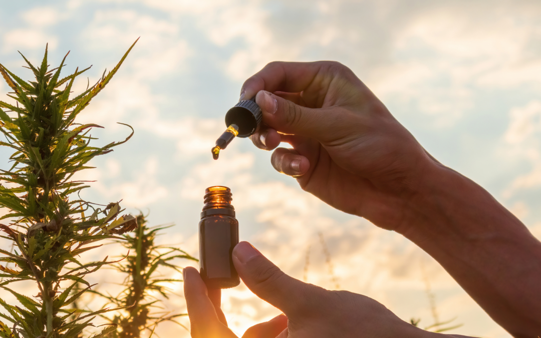 How to Shop Smart for National CBD Day