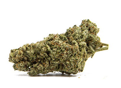 BAKED ALIEN – 3.5g – Hybrid – GHF