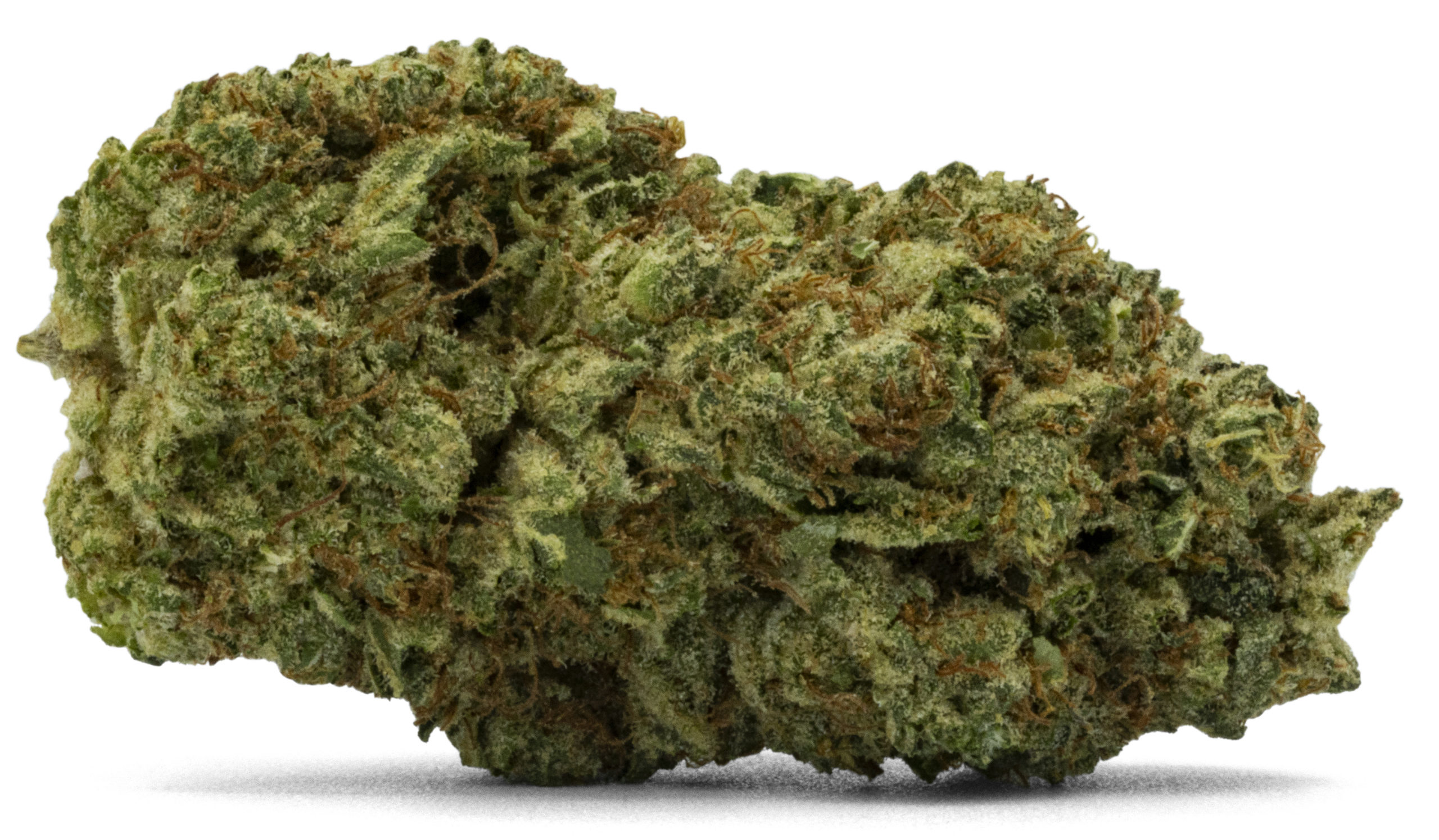 Chauffeur Nug