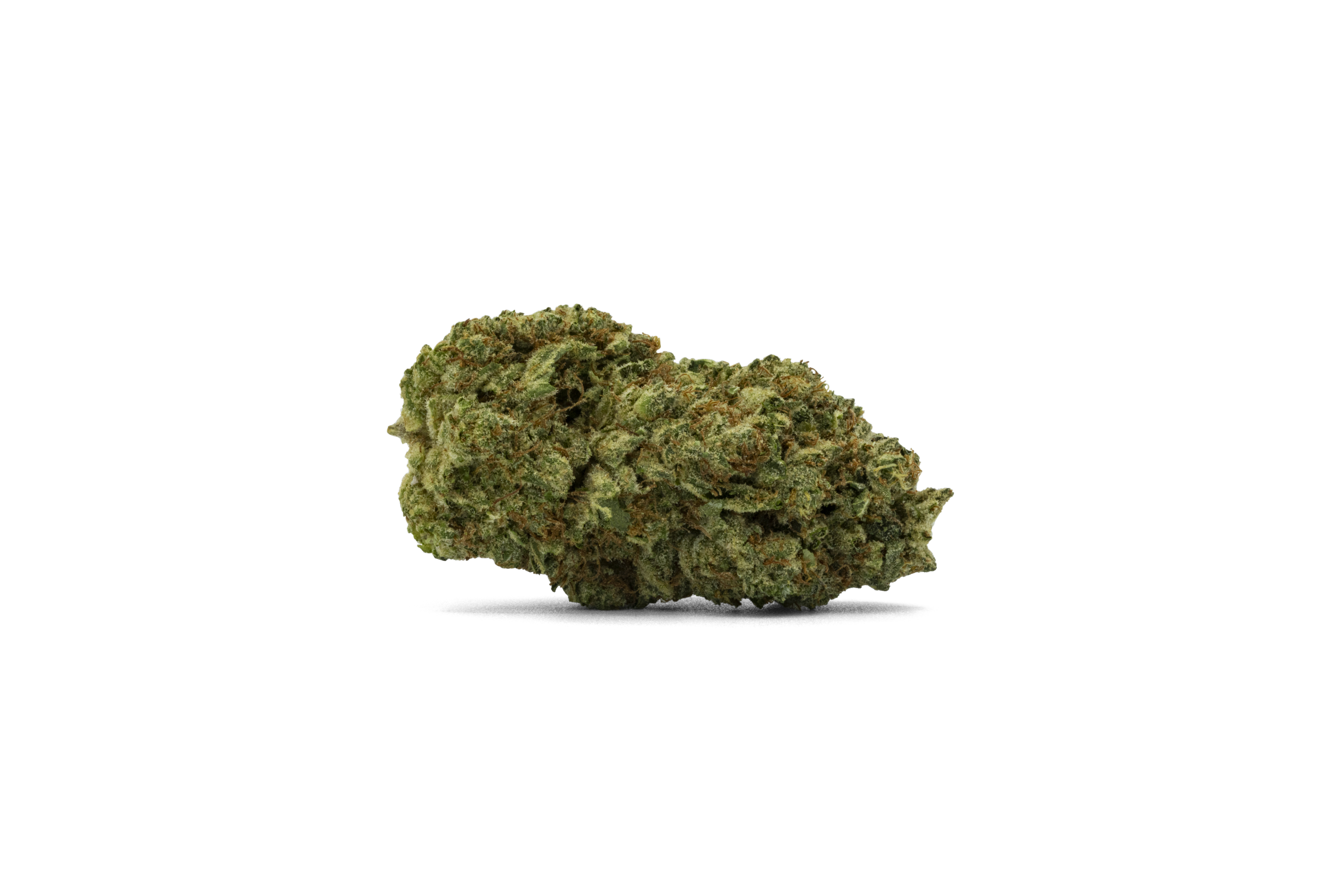 Chauffeur Nug