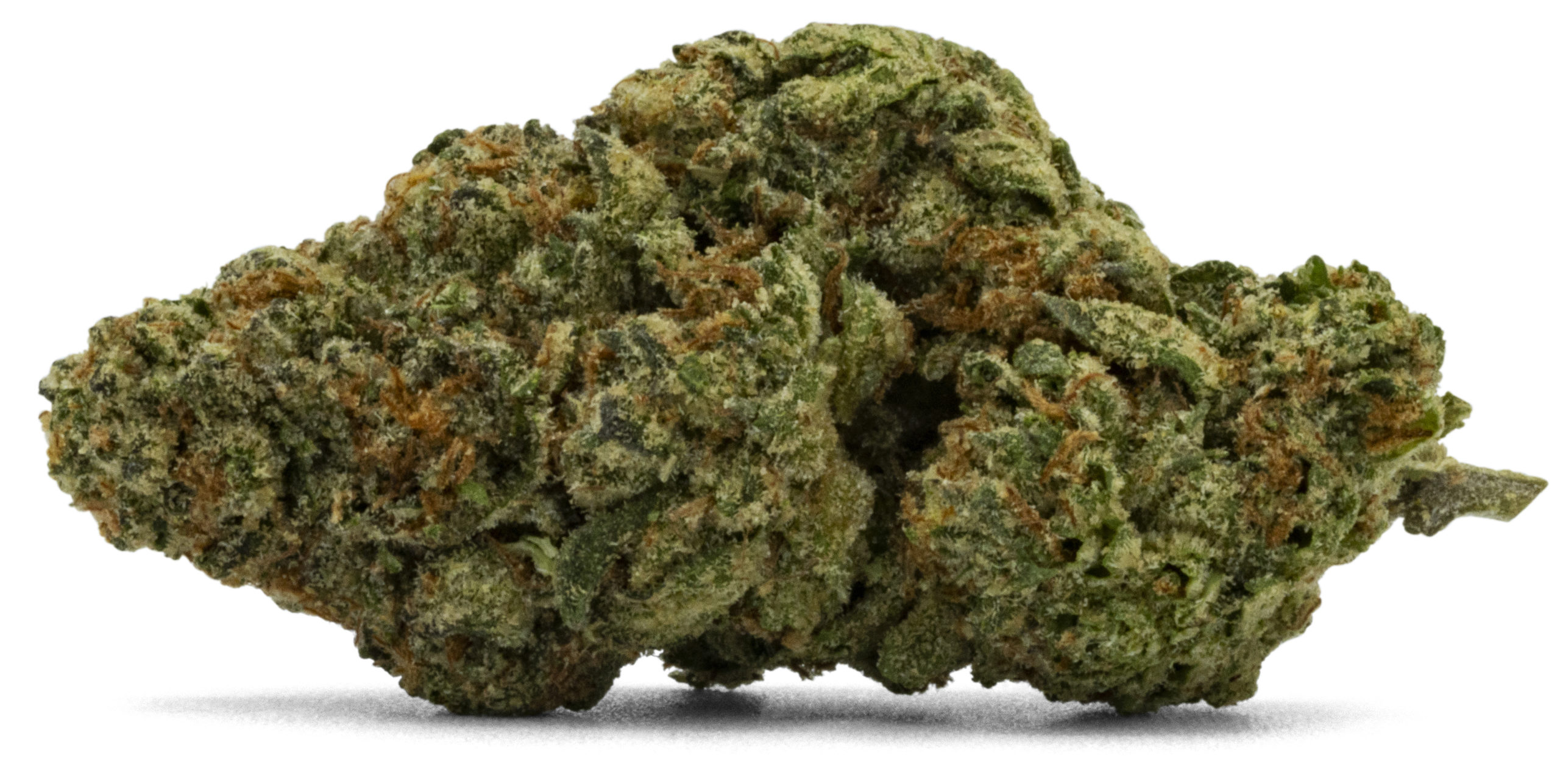 KM x DSD Nug