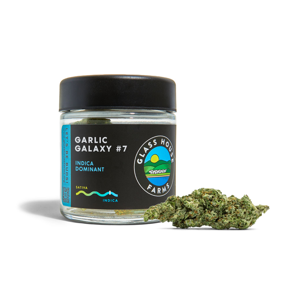 Garlic Galaxy #7