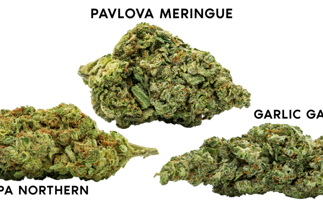 Hot New Glass House Farms Strains – November