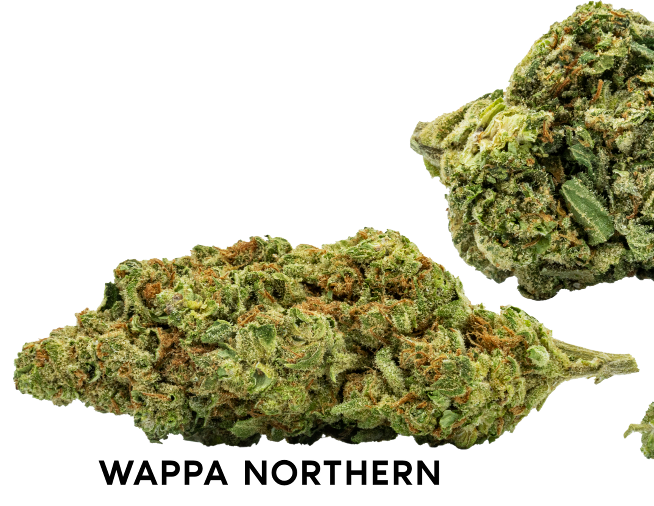 Hot New Glass House Farms Strains – November