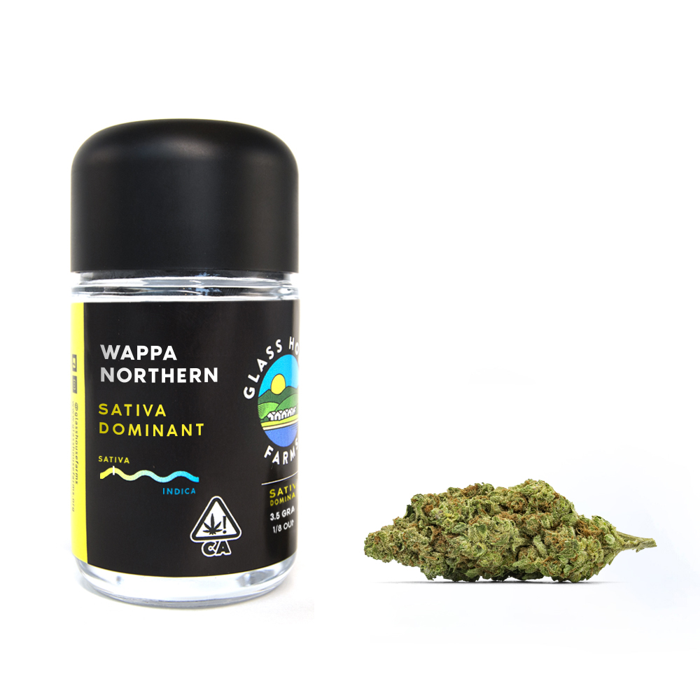 WAPPA NORTHERN - 3.5g - SATIVA DOM - JAR - 1000x1000 (1)
