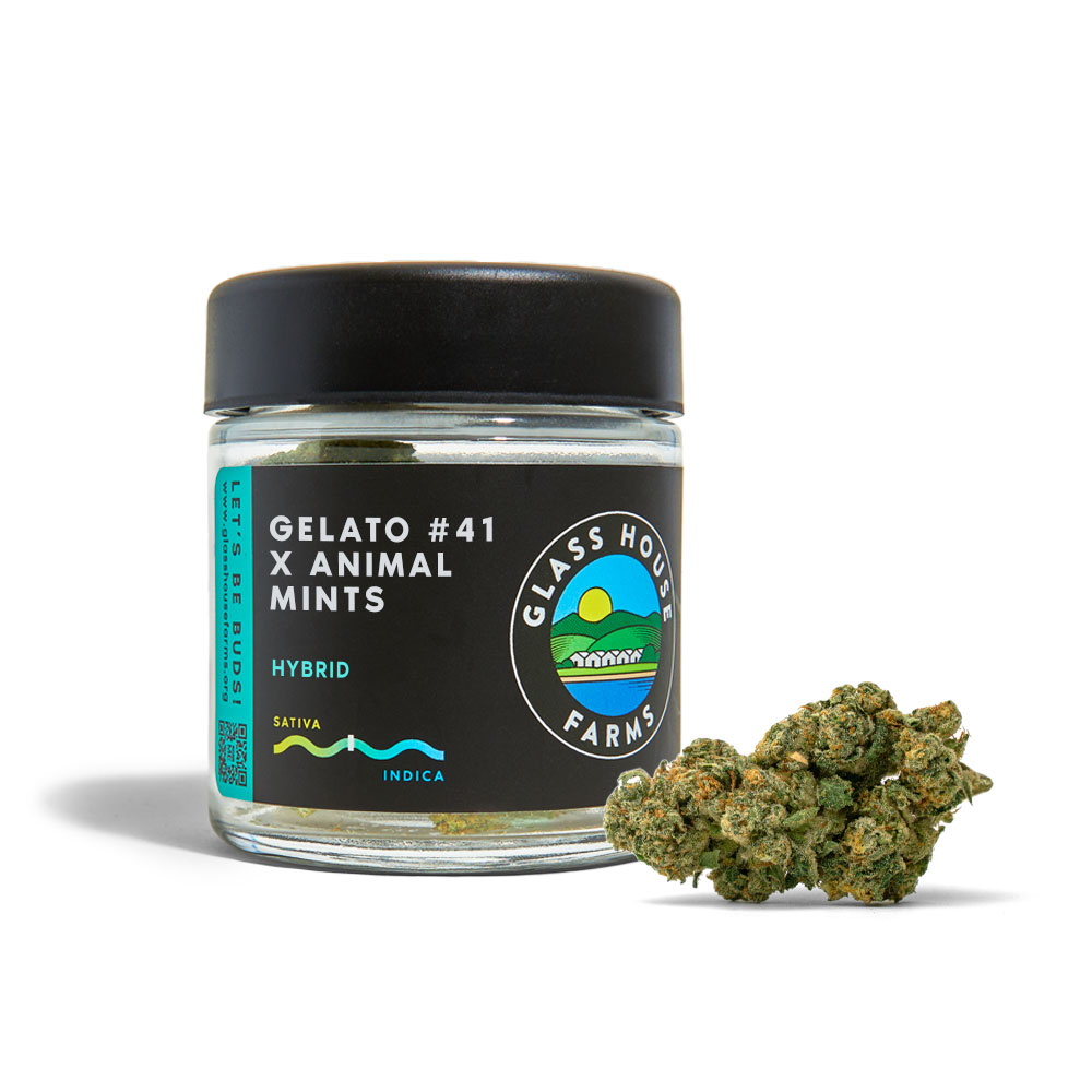 Gelato #41 & Animal Mints