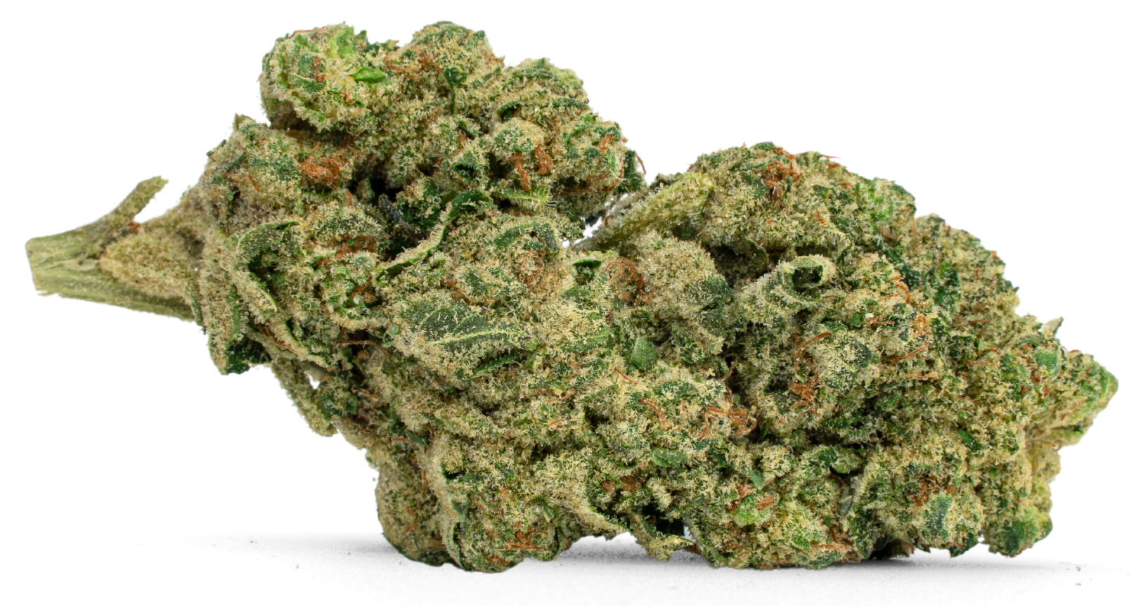 Grease Monkey (1)