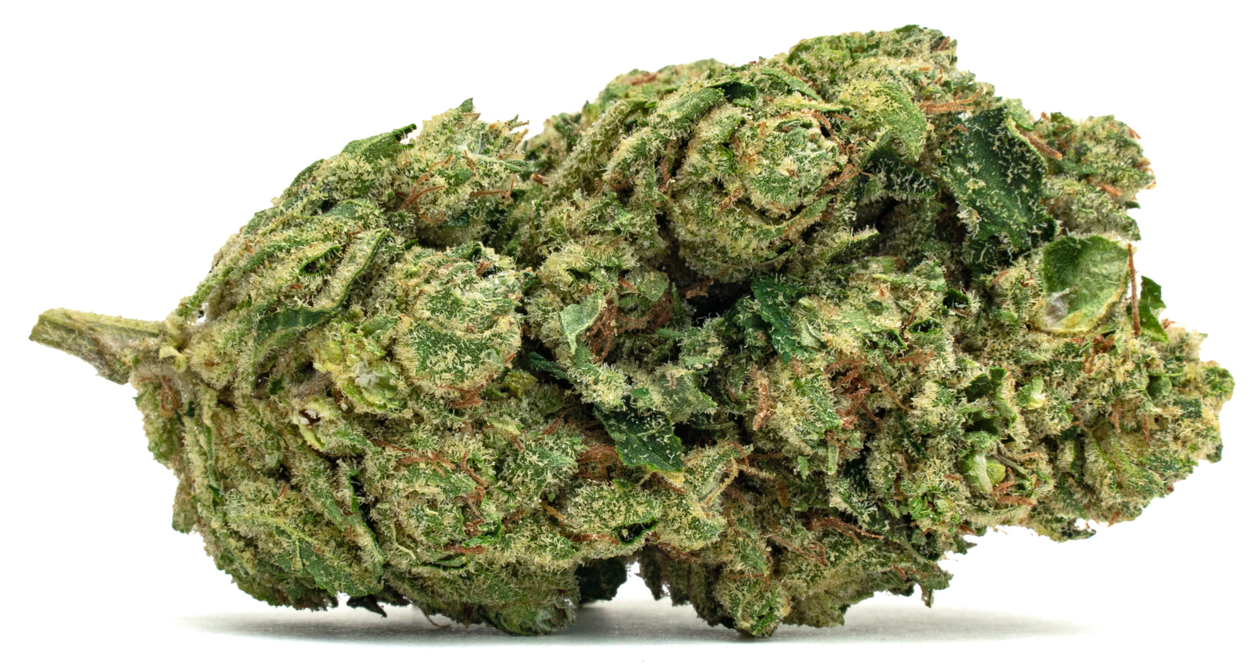Jealousy Julep - Full Res (1)