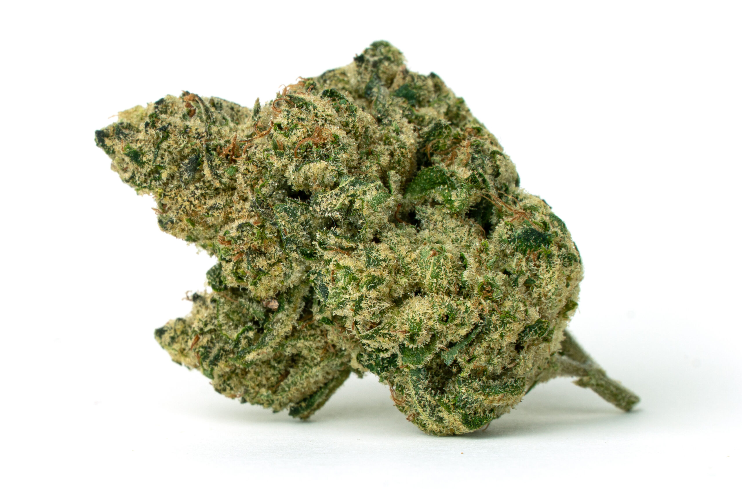 Starberry Cough – Full Res