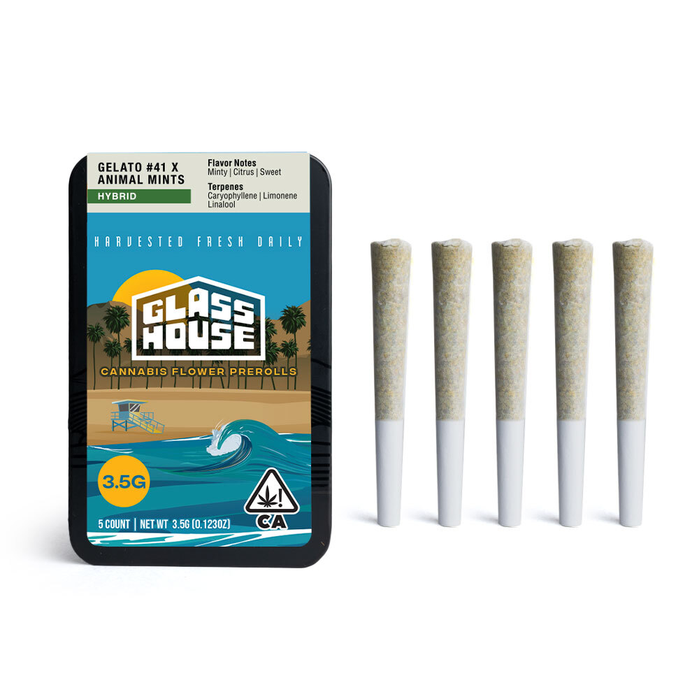 Gelato #41 & Animal Mints