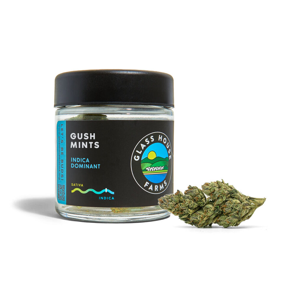 Gush Mints