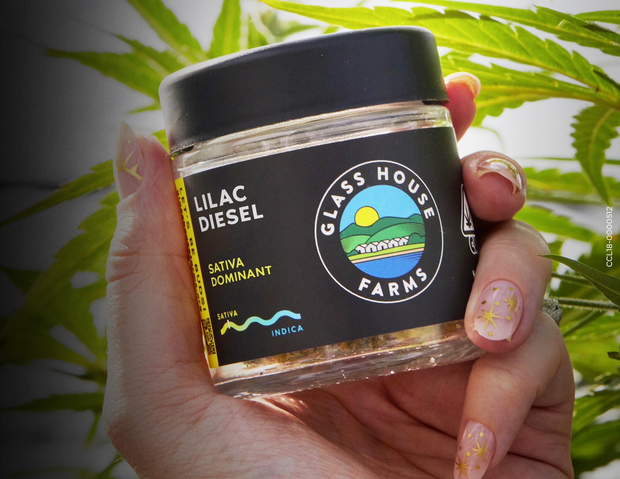 Lilac Diesel is ‘Best of California’ flower
