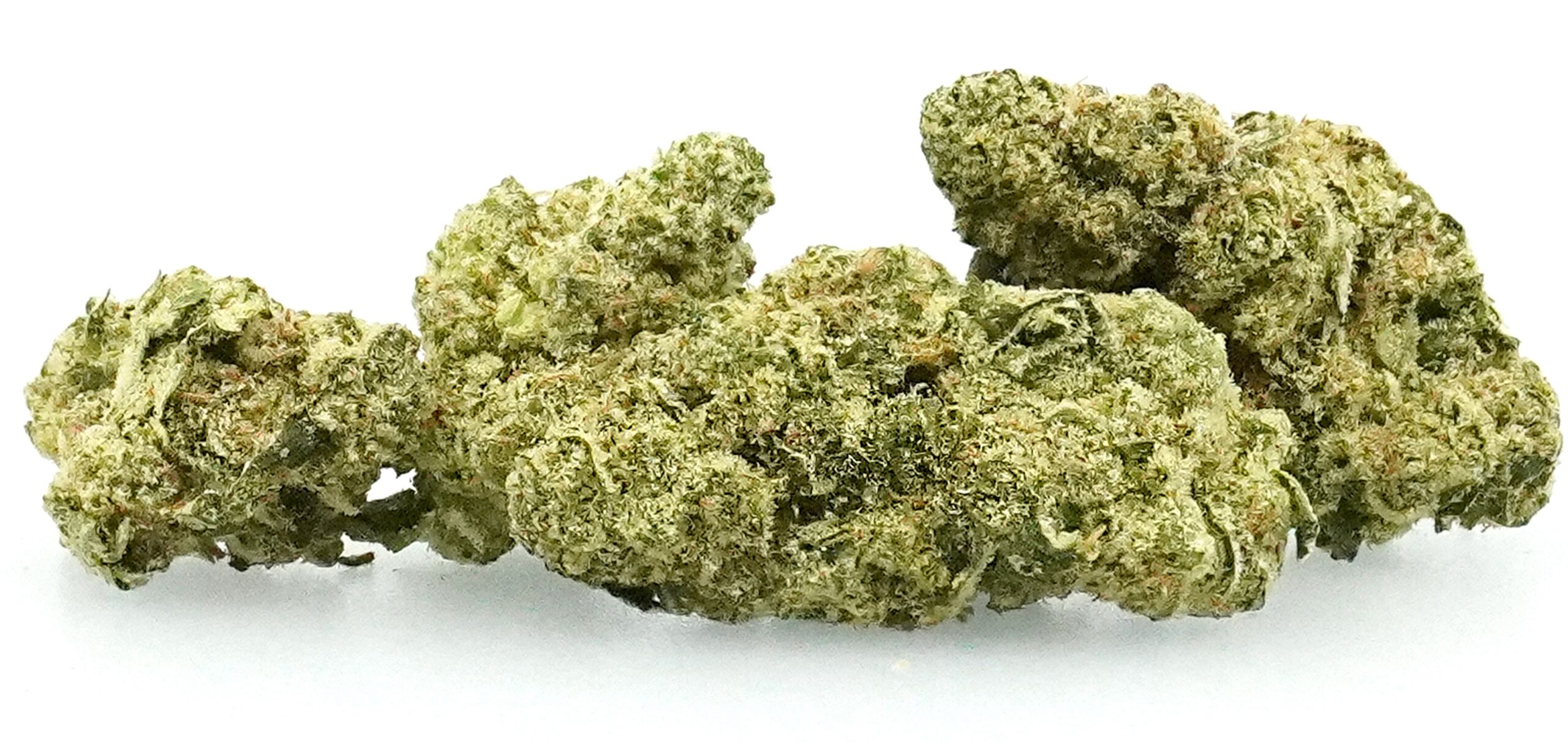 LunarDelight_02