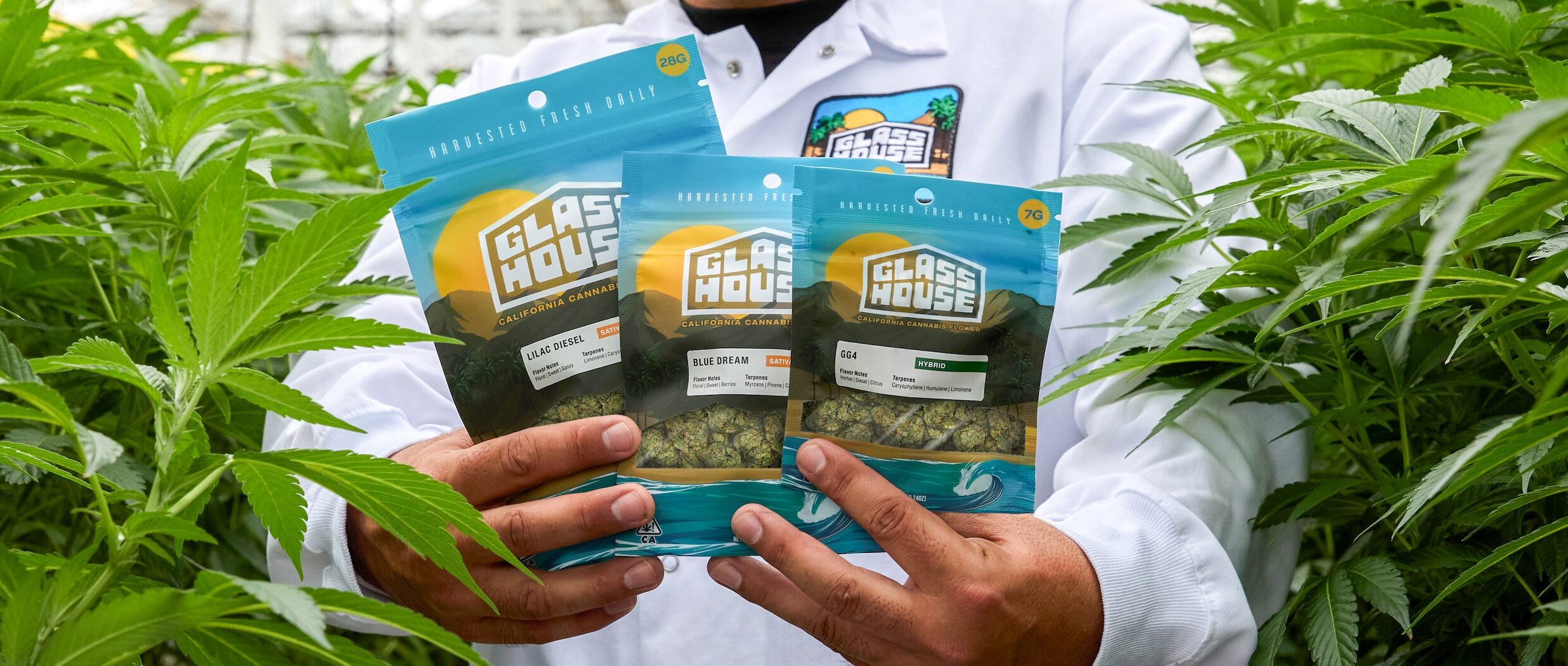 Farm Packs