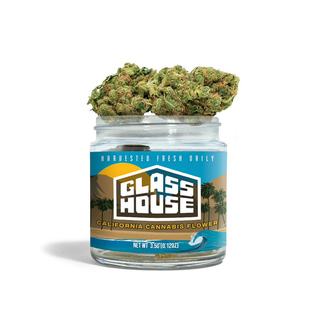 Sour D X Gas Mask